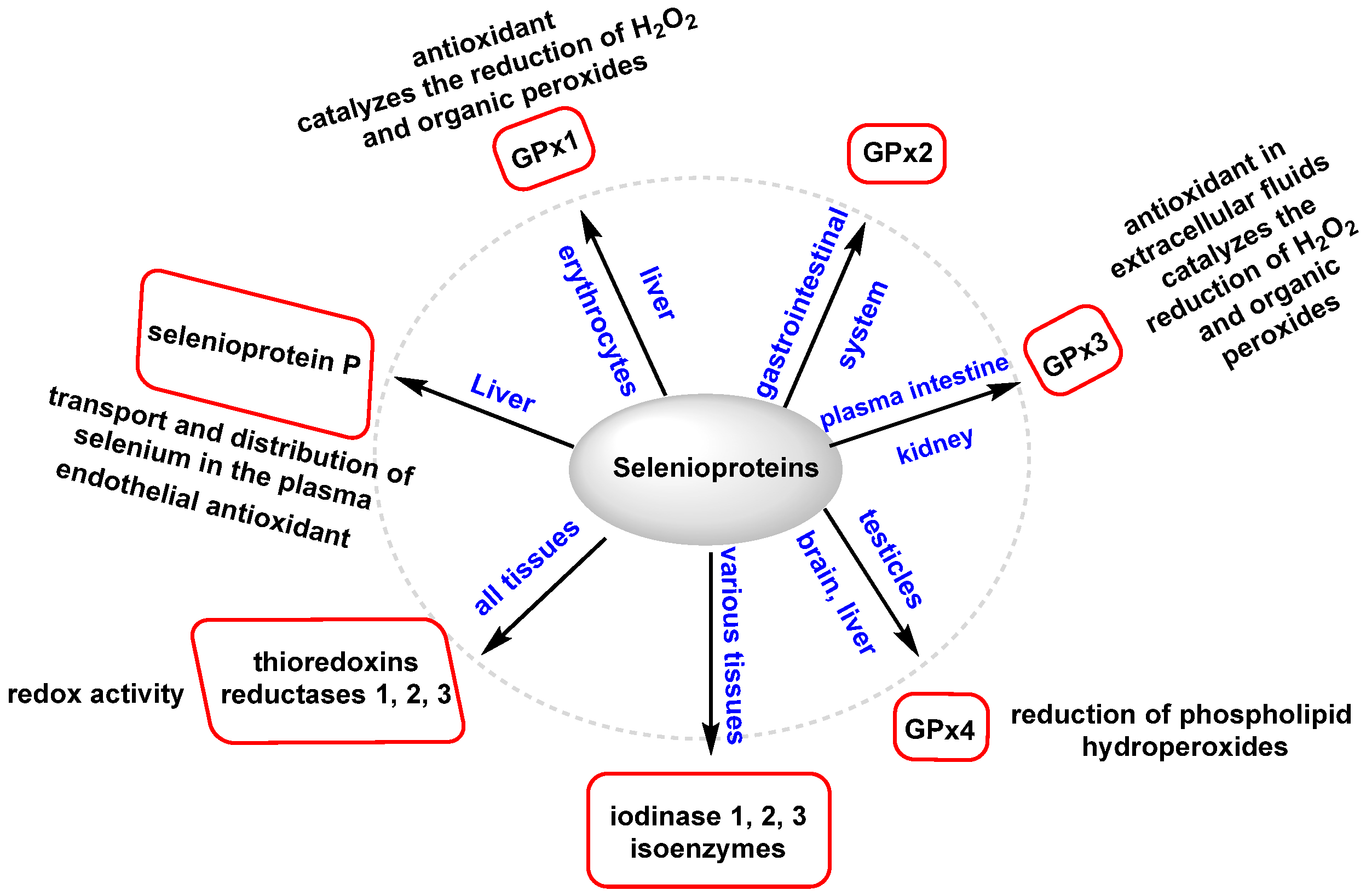 Ijms 25 02600 g010 Ijms 25 02600 g010