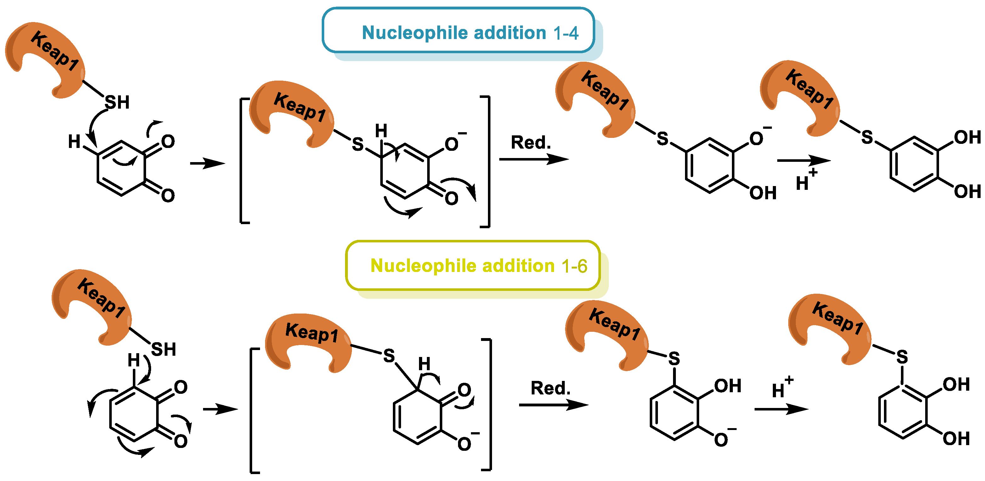 Ijms 25 02600 g013 Ijms 25 02600 g013