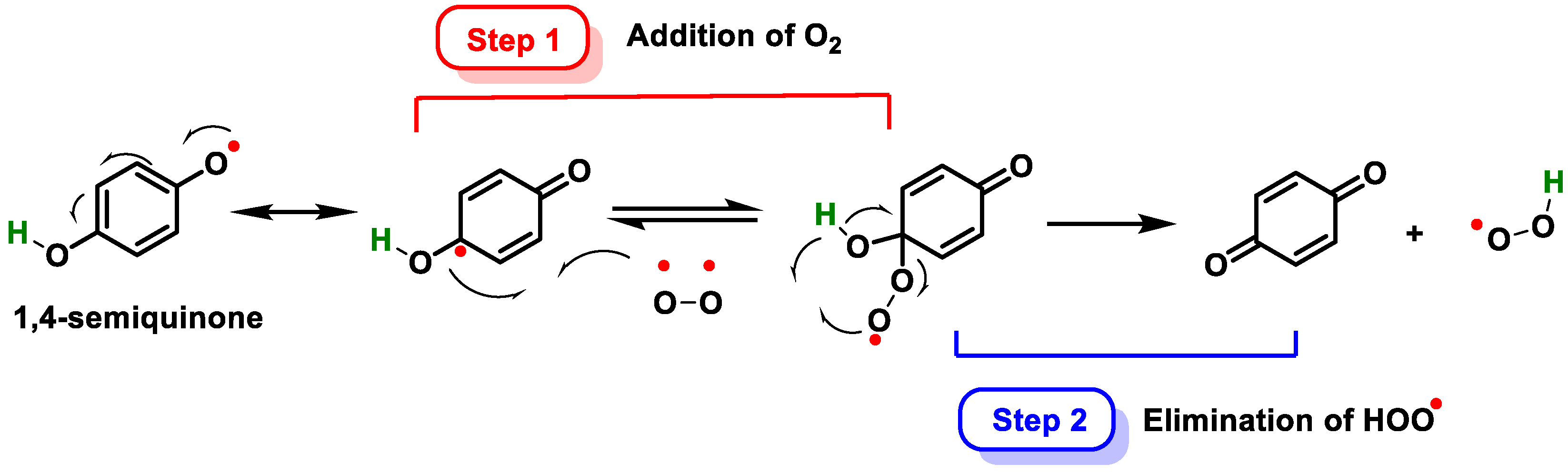 Ijms 25 02600 g014 Ijms 25 02600 g014