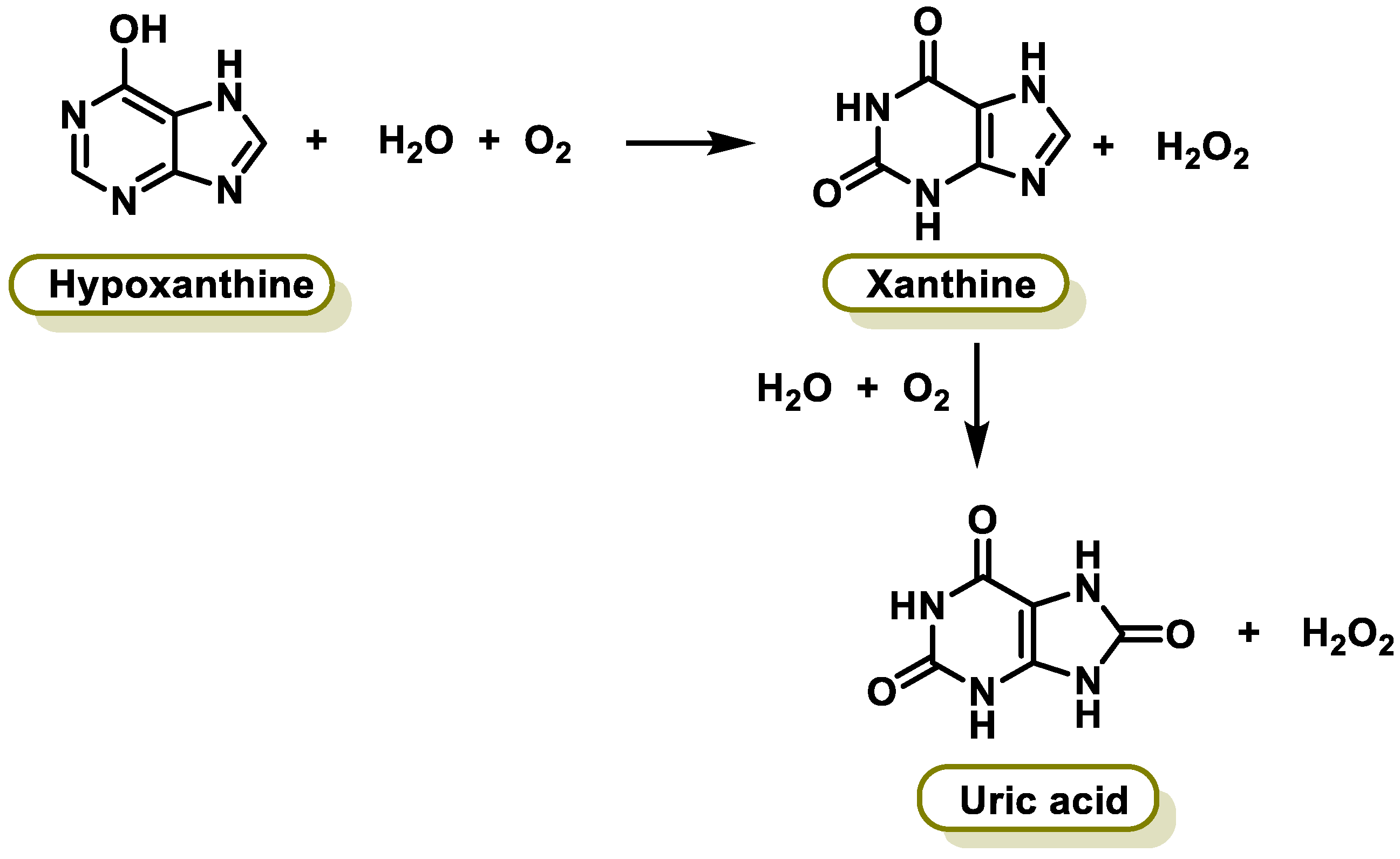 Ijms 25 02600 g016 Ijms 25 02600 g016