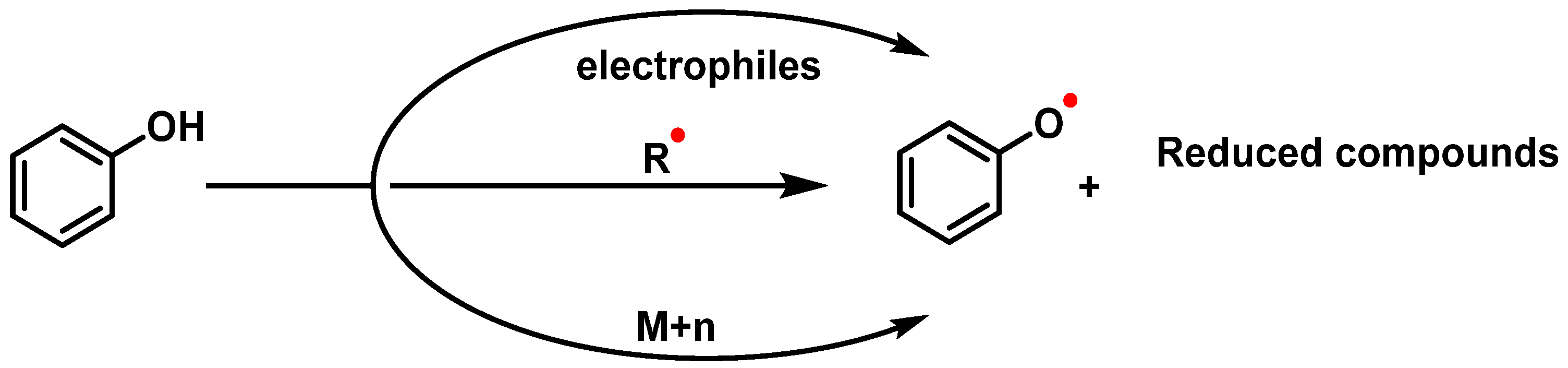 Ijms 25 02600 g018 Ijms 25 02600 g018