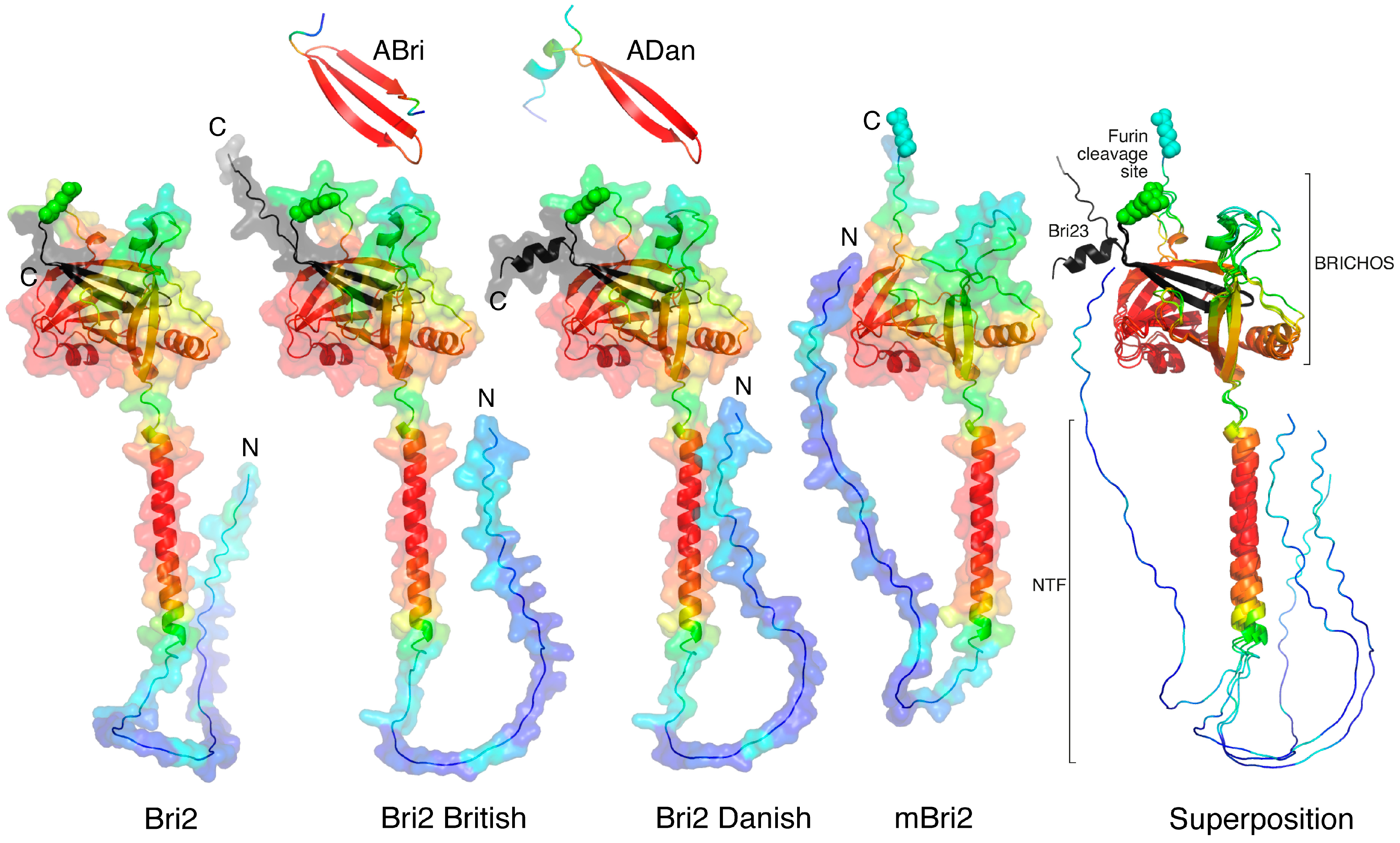 Ijms 25 02608 g002 Ijms 25 02608 g002