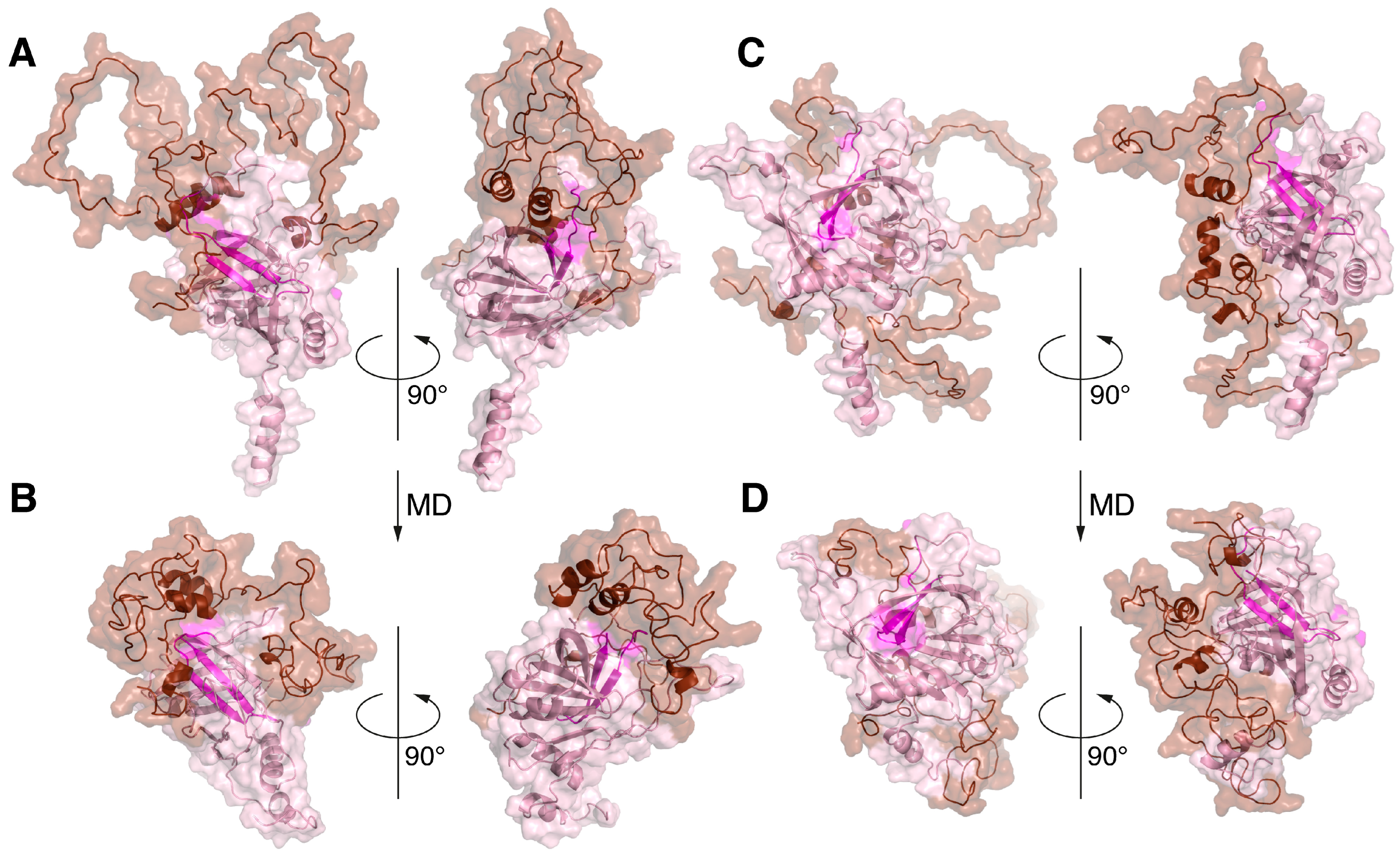 Ijms 25 02608 g005 Ijms 25 02608 g005