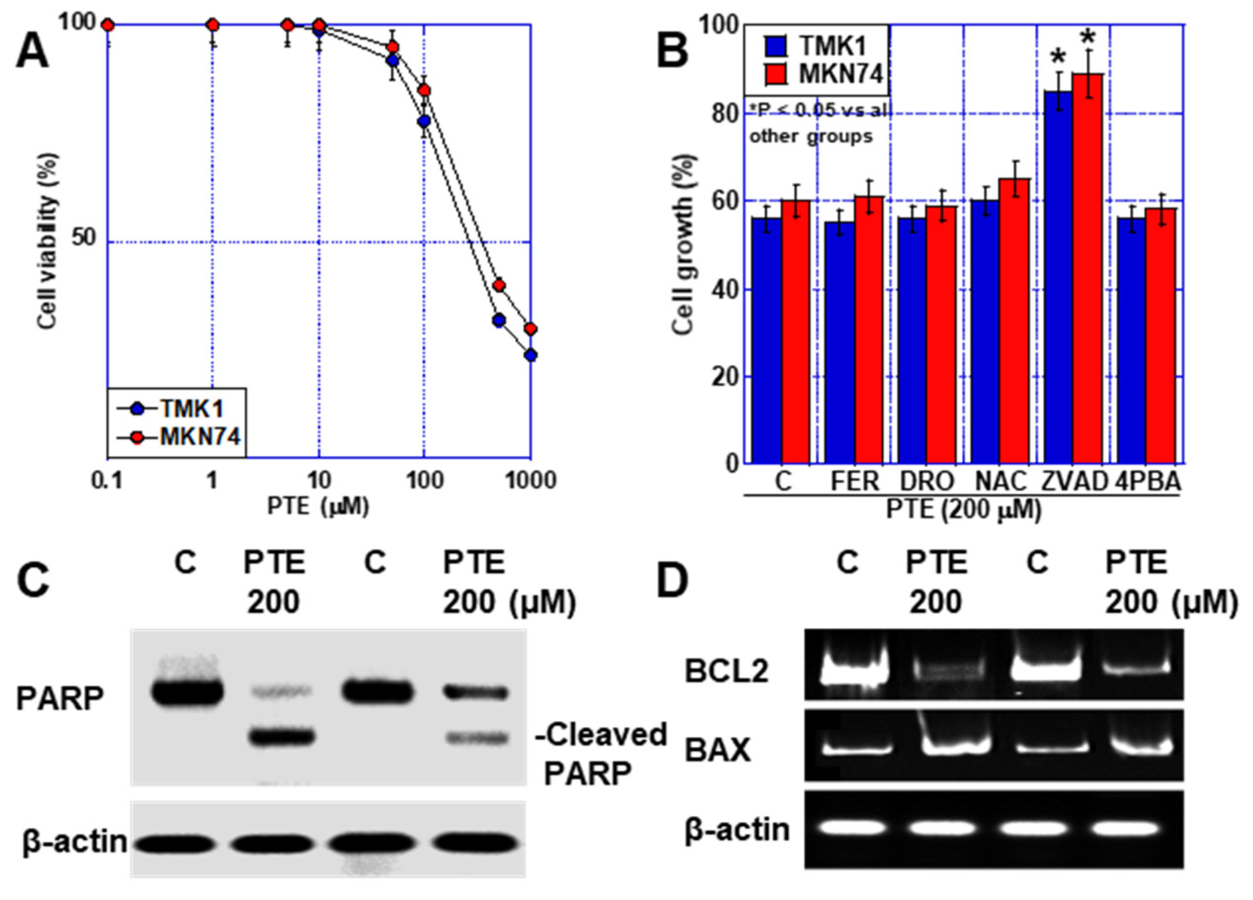 Ijms 25 02611 g001 Ijms 25 02611 g001