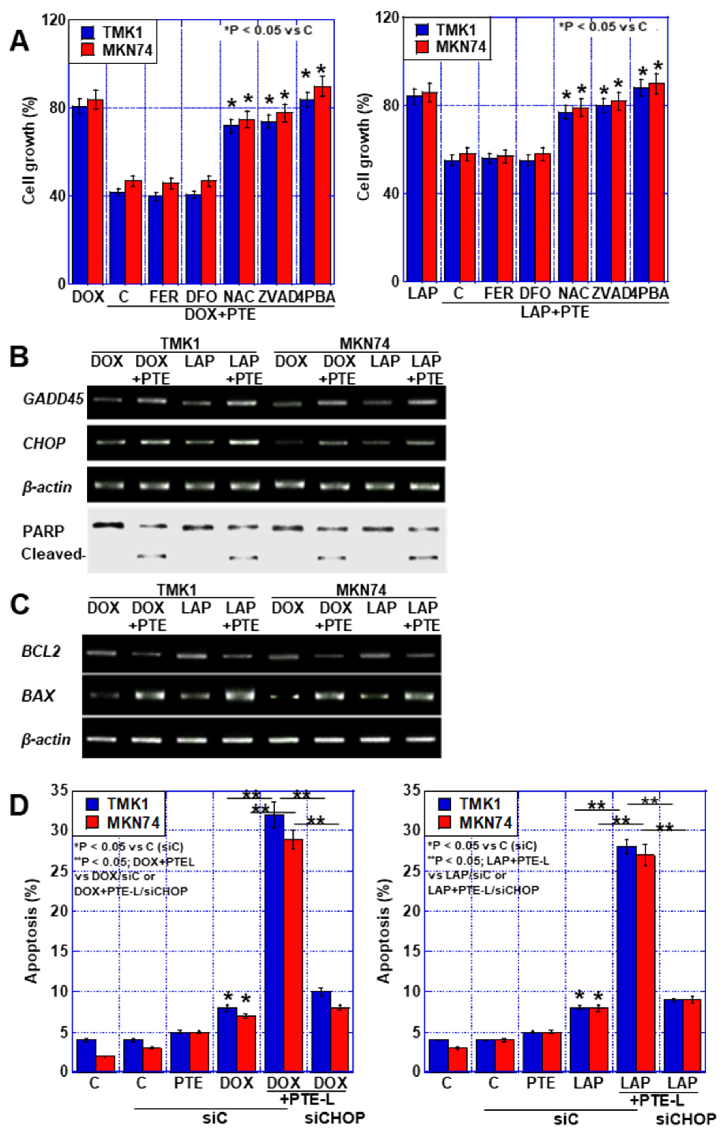 Ijms 25 02611 g004 Ijms 25 02611 g004