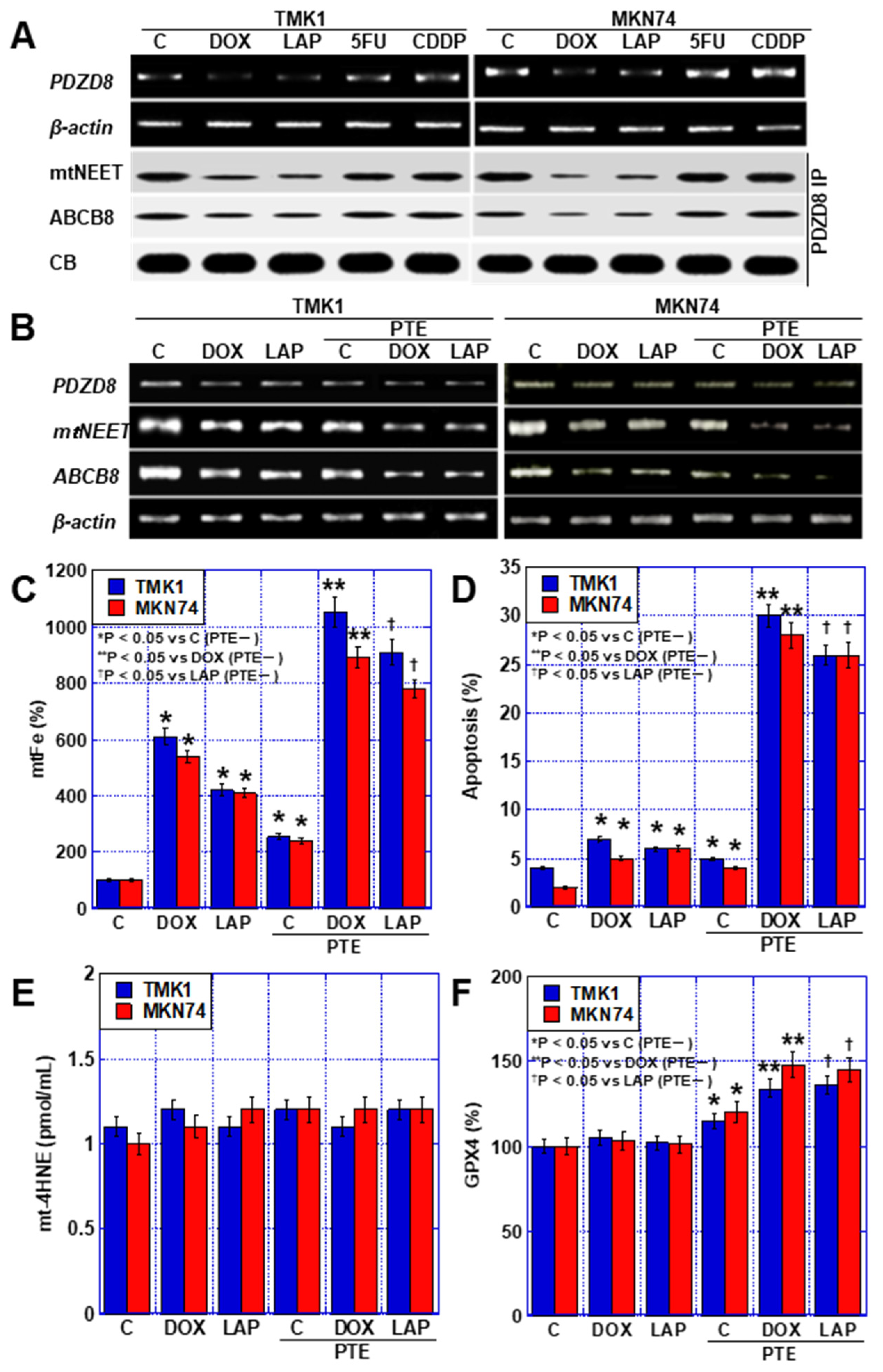 Ijms 25 02611 g005 Ijms 25 02611 g005