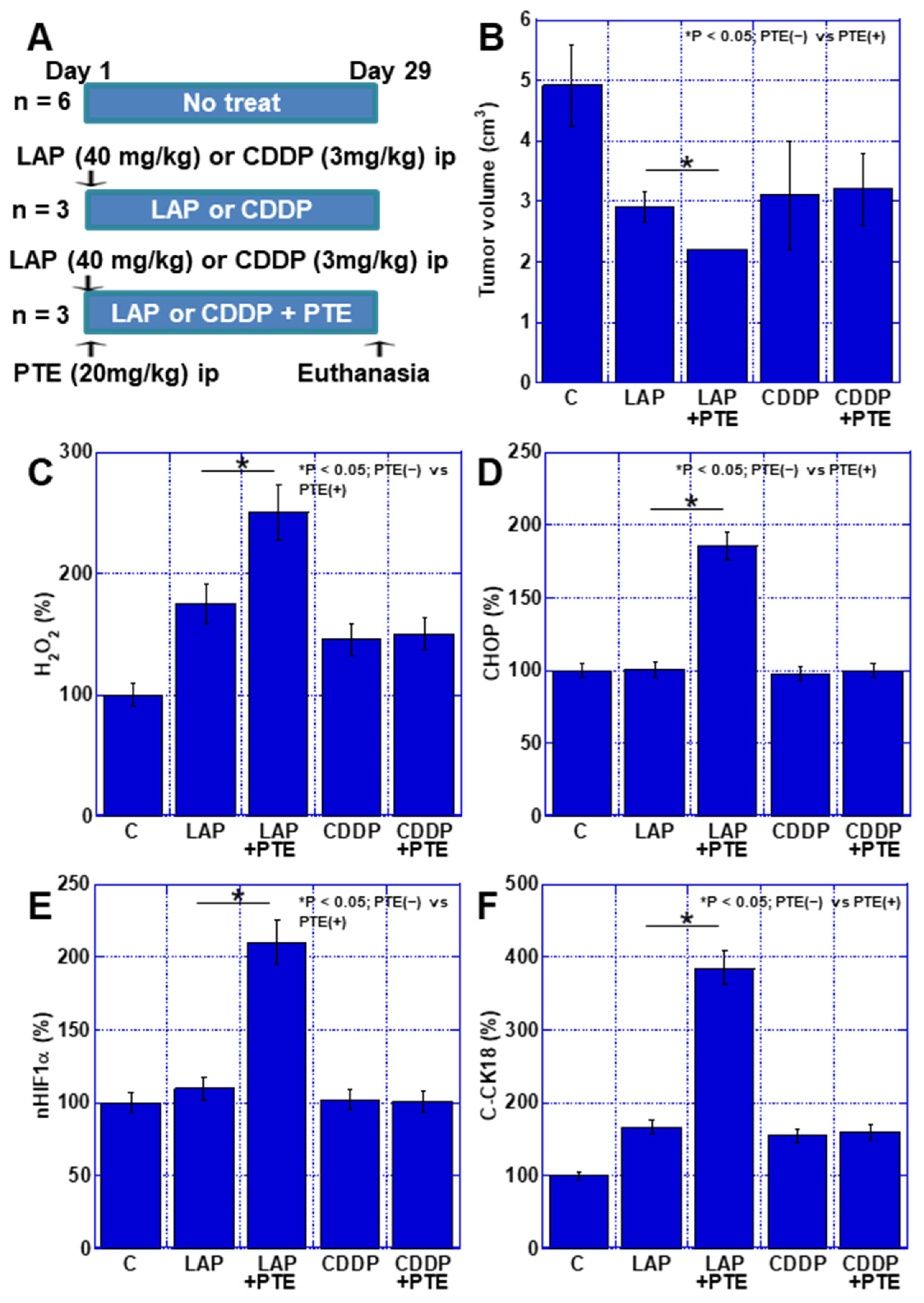 Ijms 25 02611 g007 Ijms 25 02611 g007