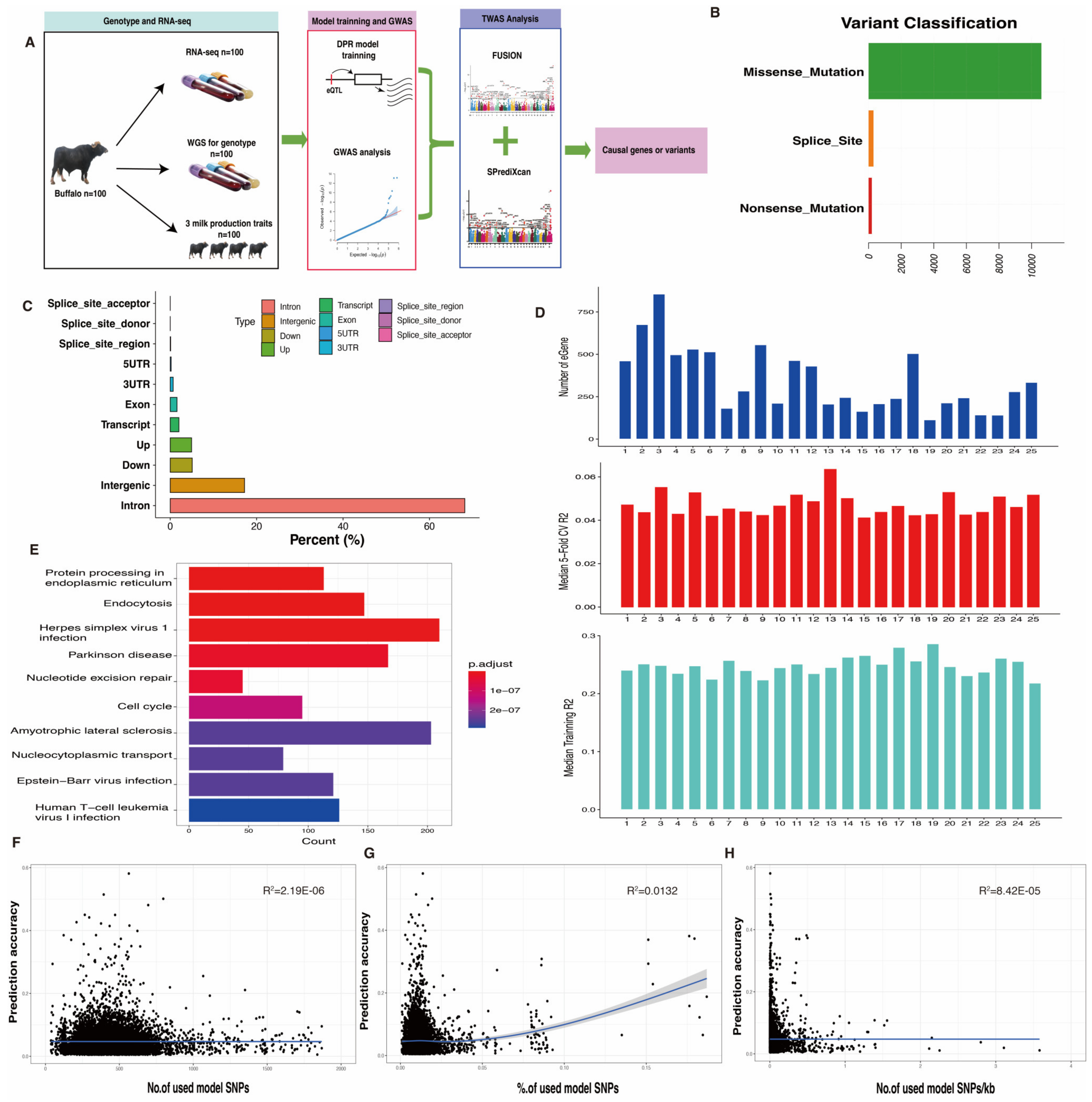 Ijms 25 02626 g001 Ijms 25 02626 g001