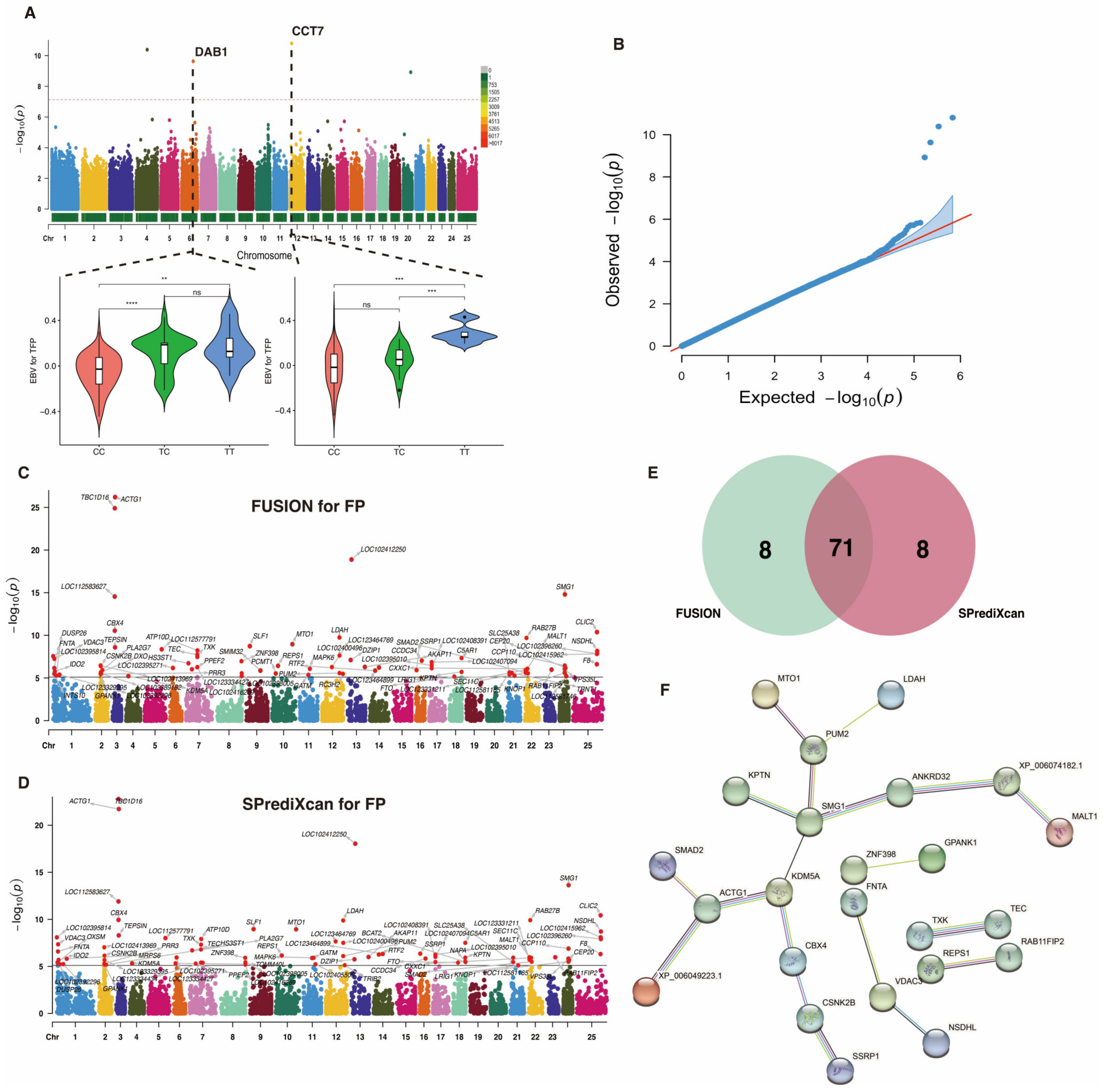 Ijms 25 02626 g003 Ijms 25 02626 g003