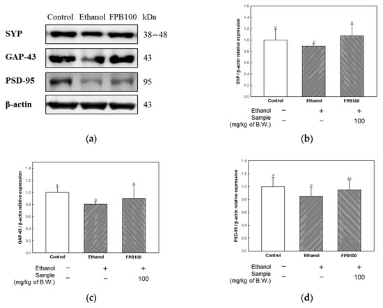 おまとめ３点 Fermented Protaetia brevitarsis Larvae Improves