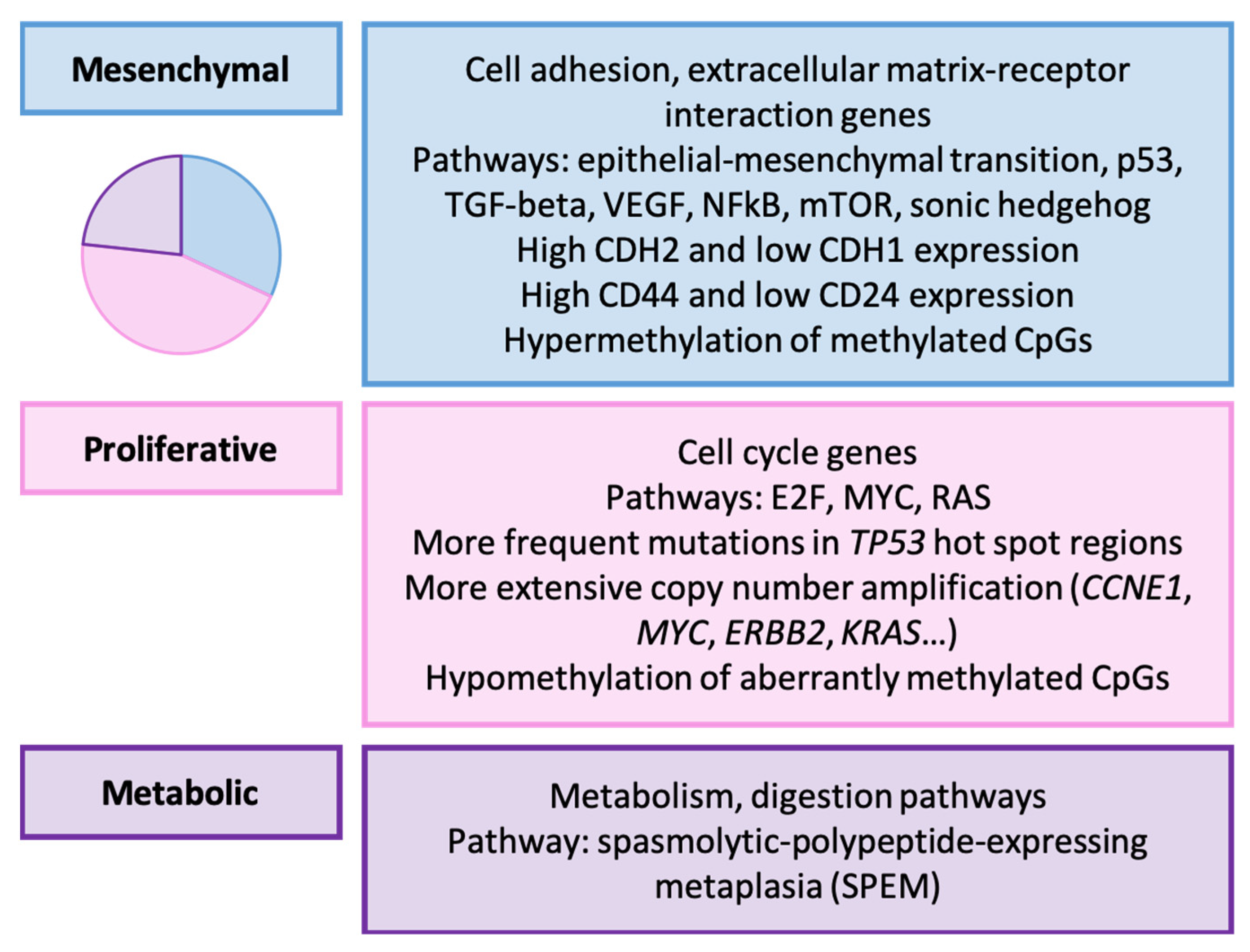Ijms 25 02649 g002 Ijms 25 02649 g002