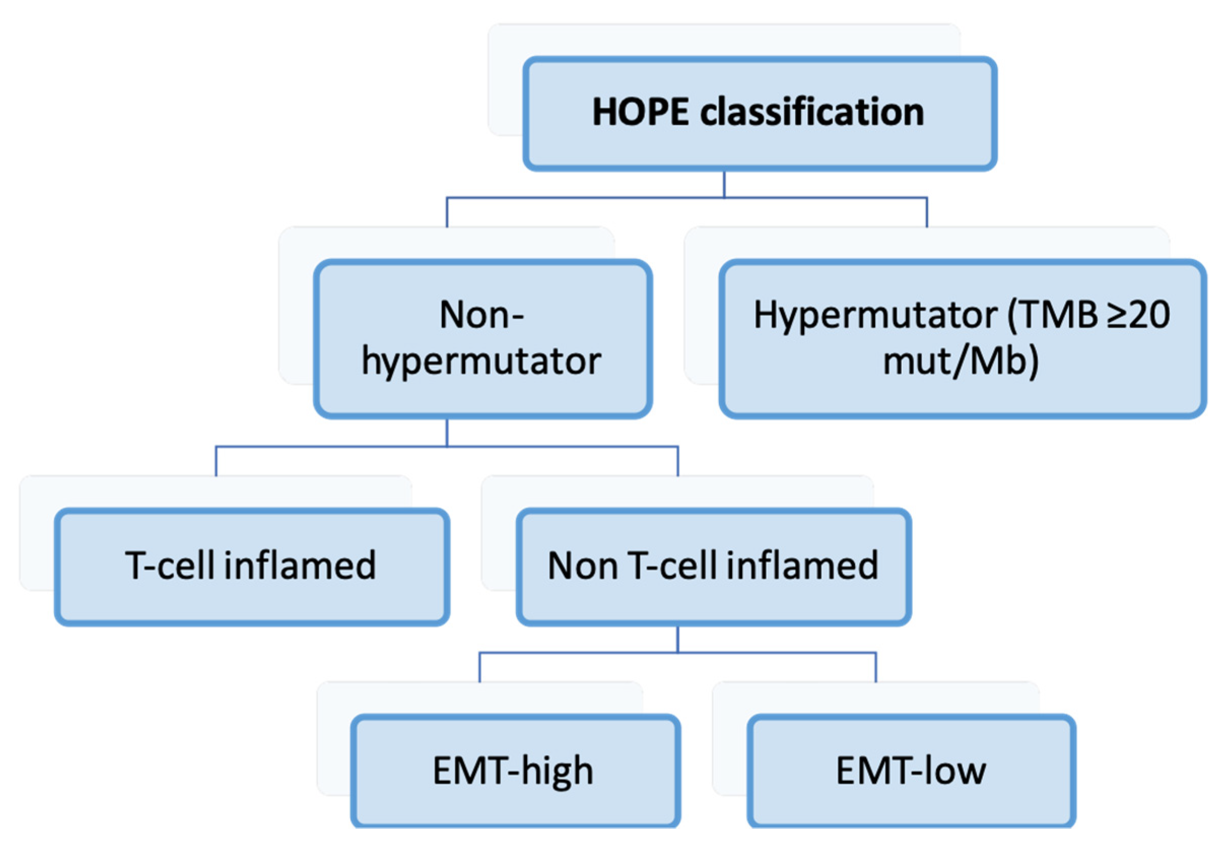 Ijms 25 02649 g004 Ijms 25 02649 g004