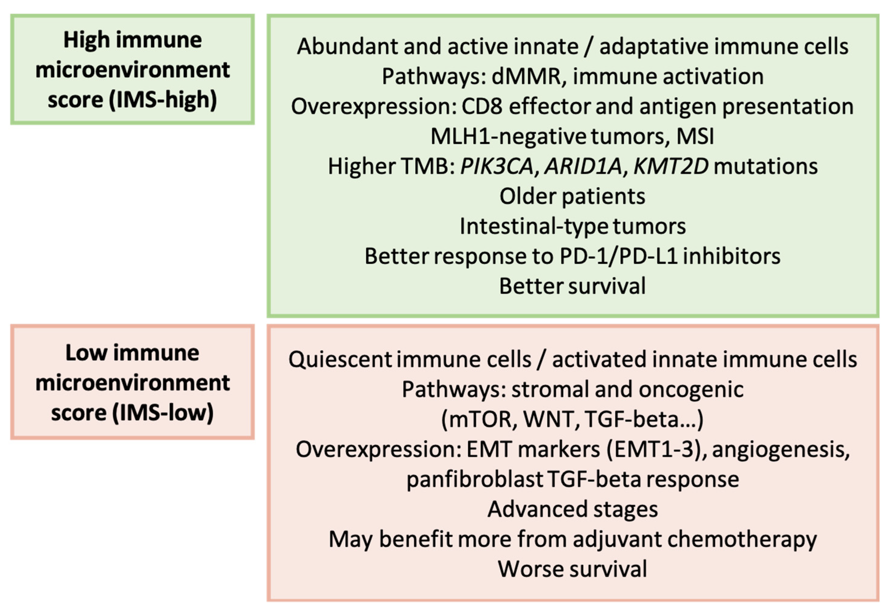 Ijms 25 02649 g009 Ijms 25 02649 g009