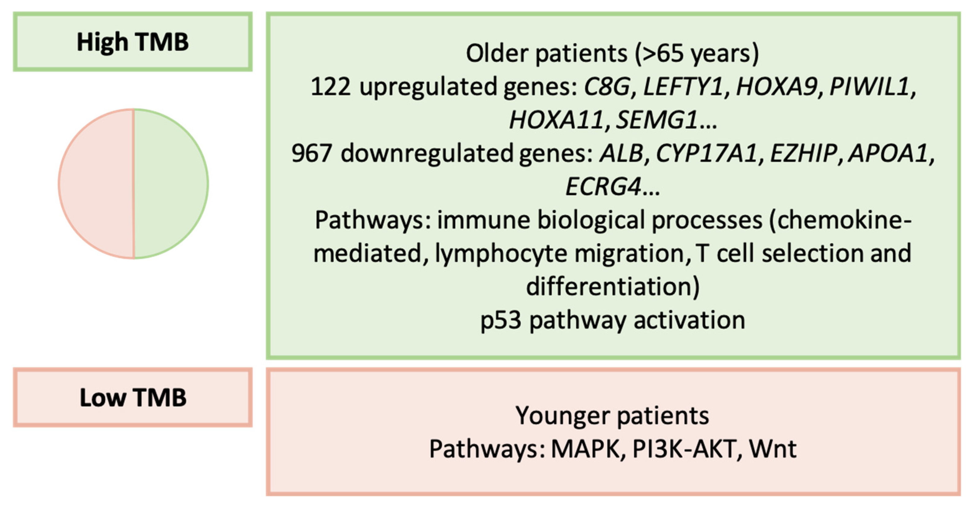 Ijms 25 02649 g011 Ijms 25 02649 g011