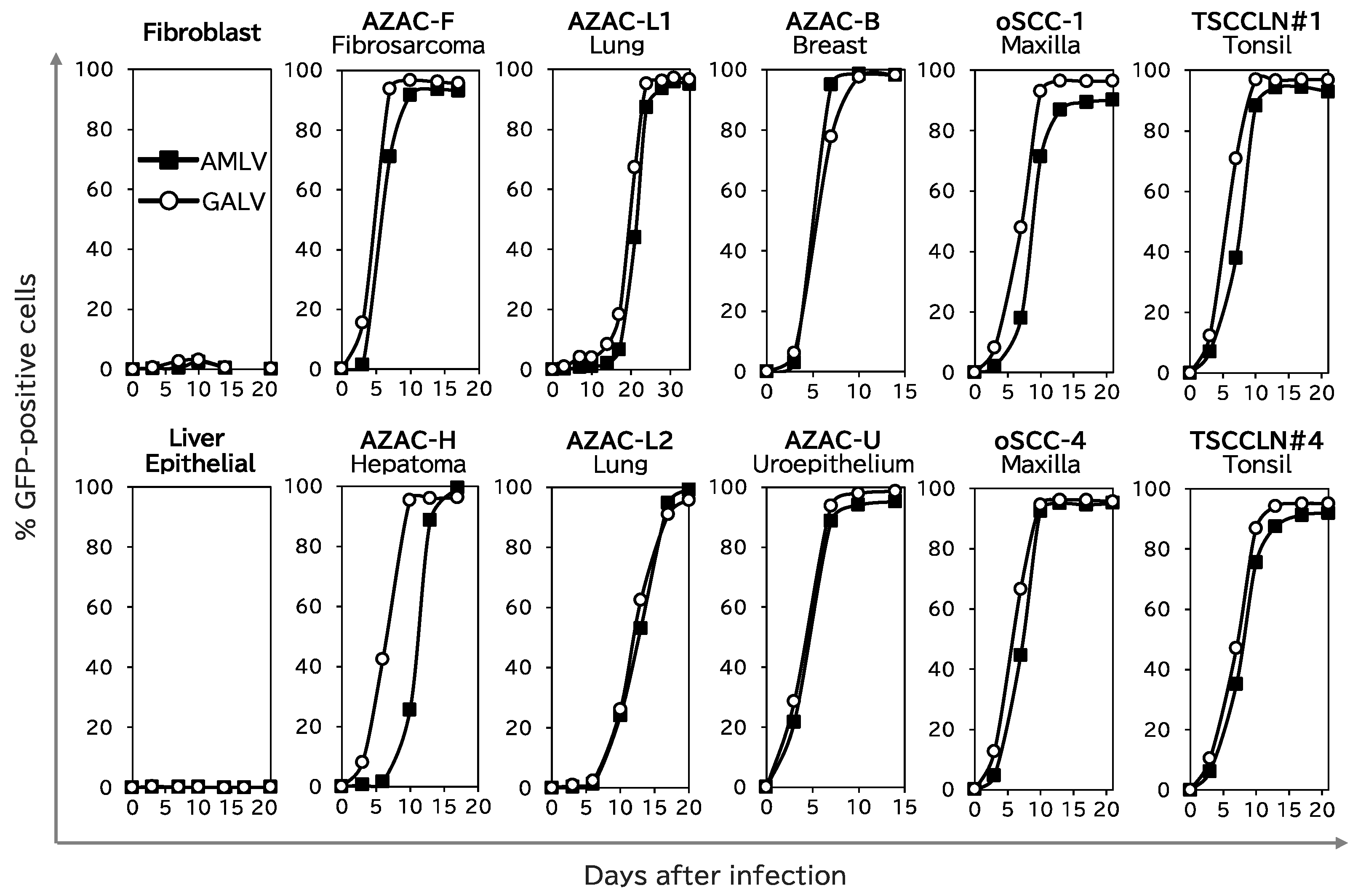 Ijms 25 02657 g002 Ijms 25 02657 g002