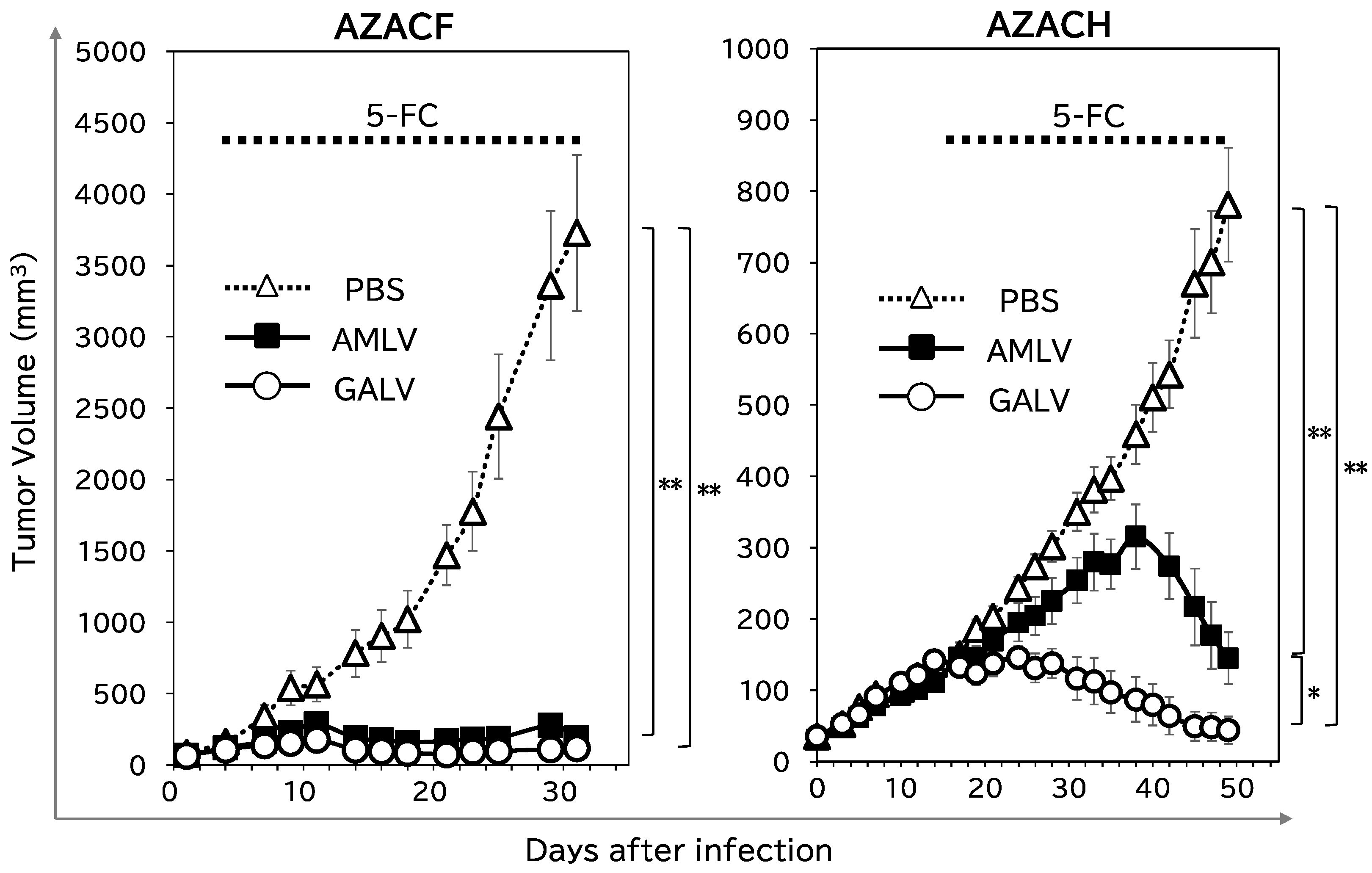 Ijms 25 02657 g005 Ijms 25 02657 g005