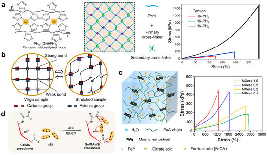 Tough Hydrogels with Different Toughening Mechanisms and