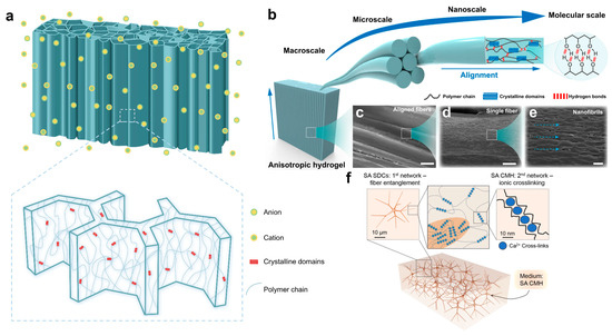 Tough Hydrogels with Different Toughening Mechanisms and