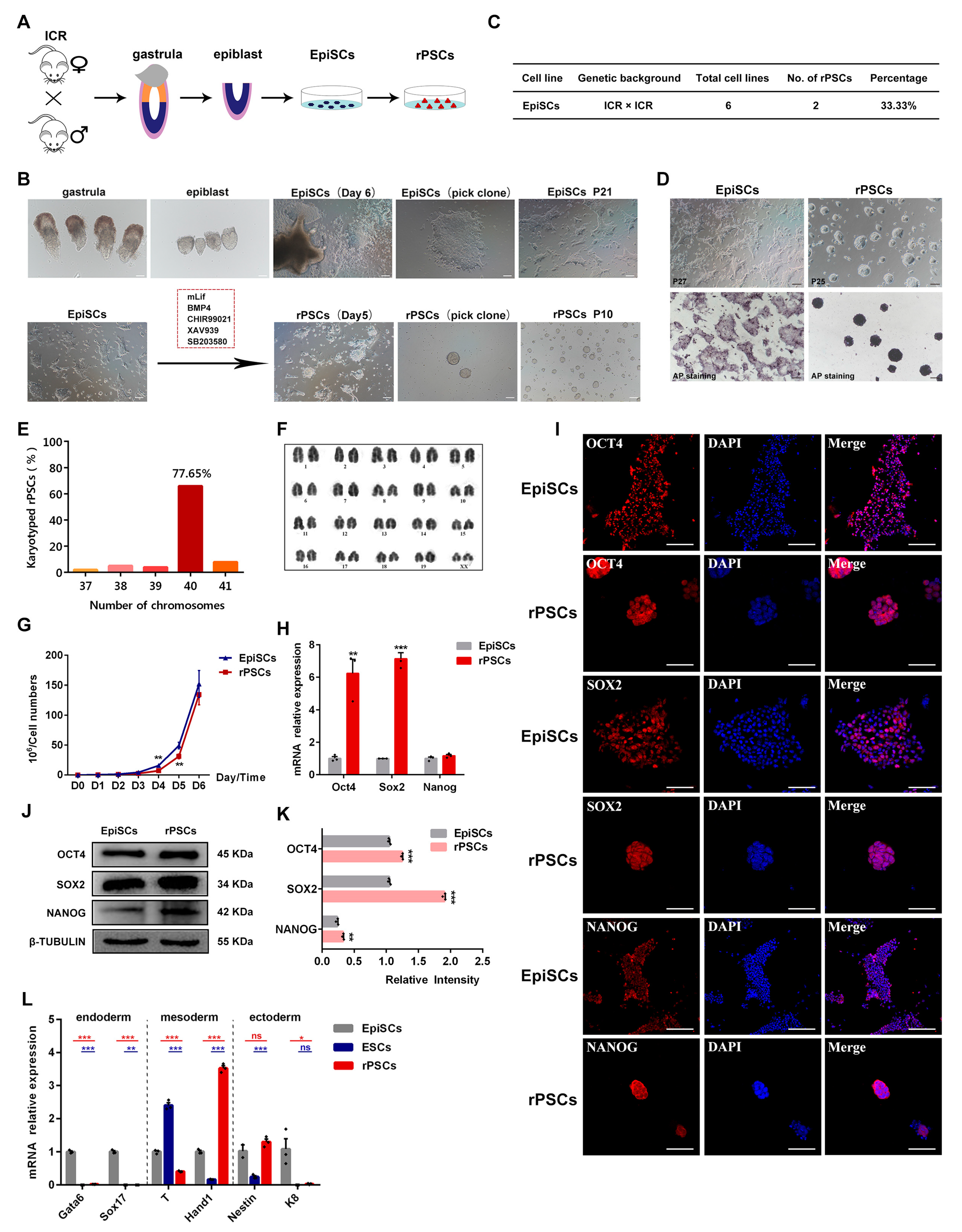 Ijms 25 02681 g001 Ijms 25 02681 g001