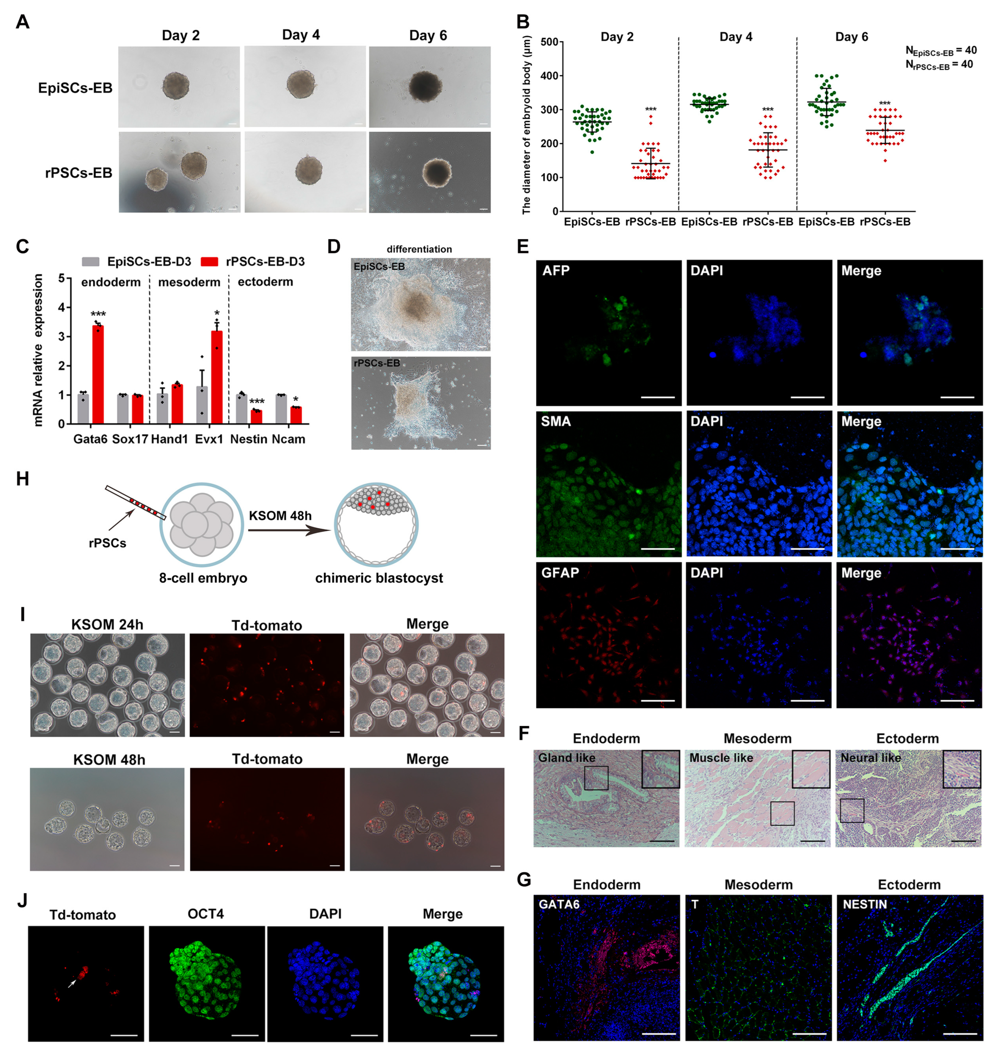 Ijms 25 02681 g002 Ijms 25 02681 g002