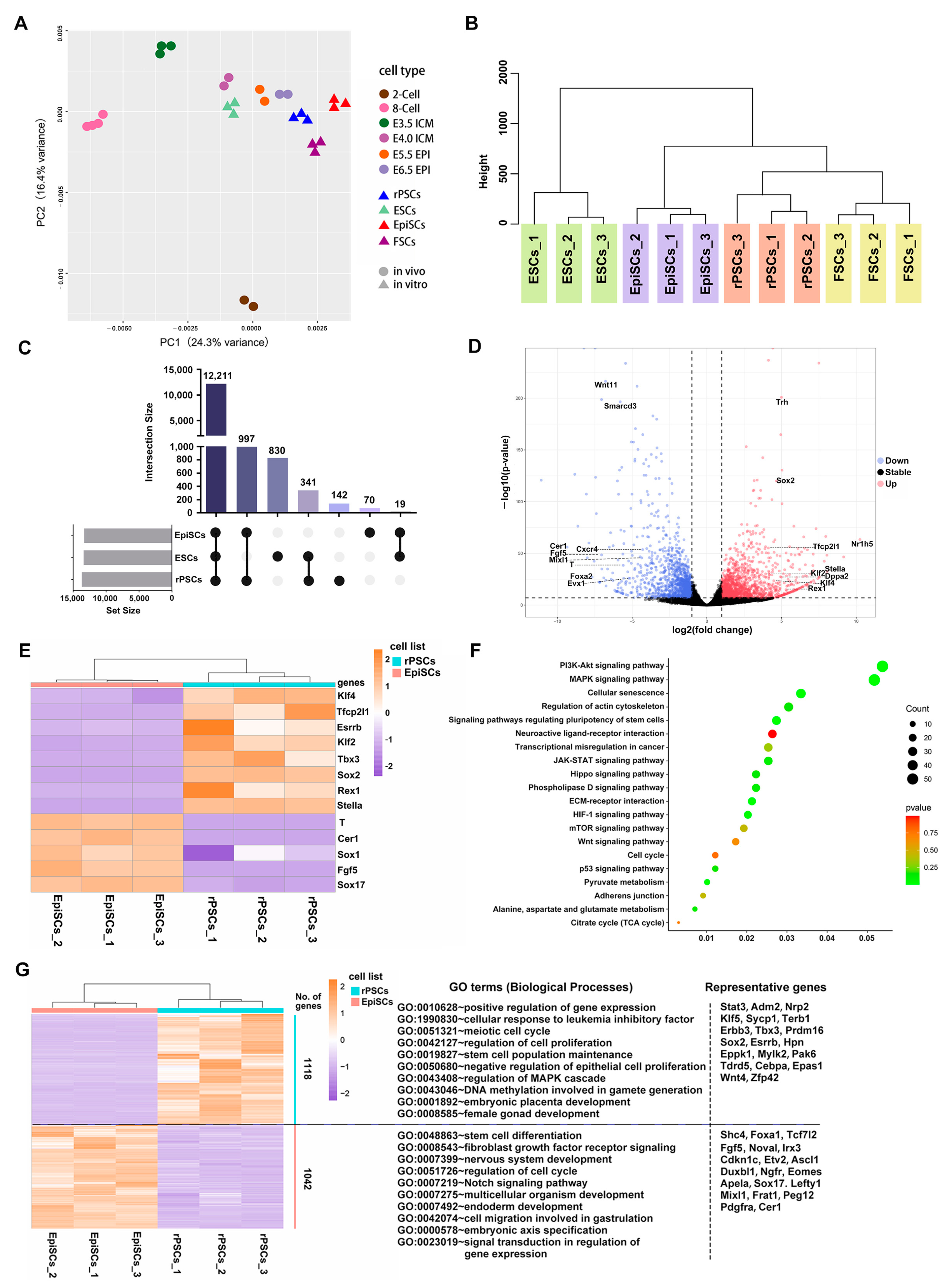 Ijms 25 02681 g003 Ijms 25 02681 g003