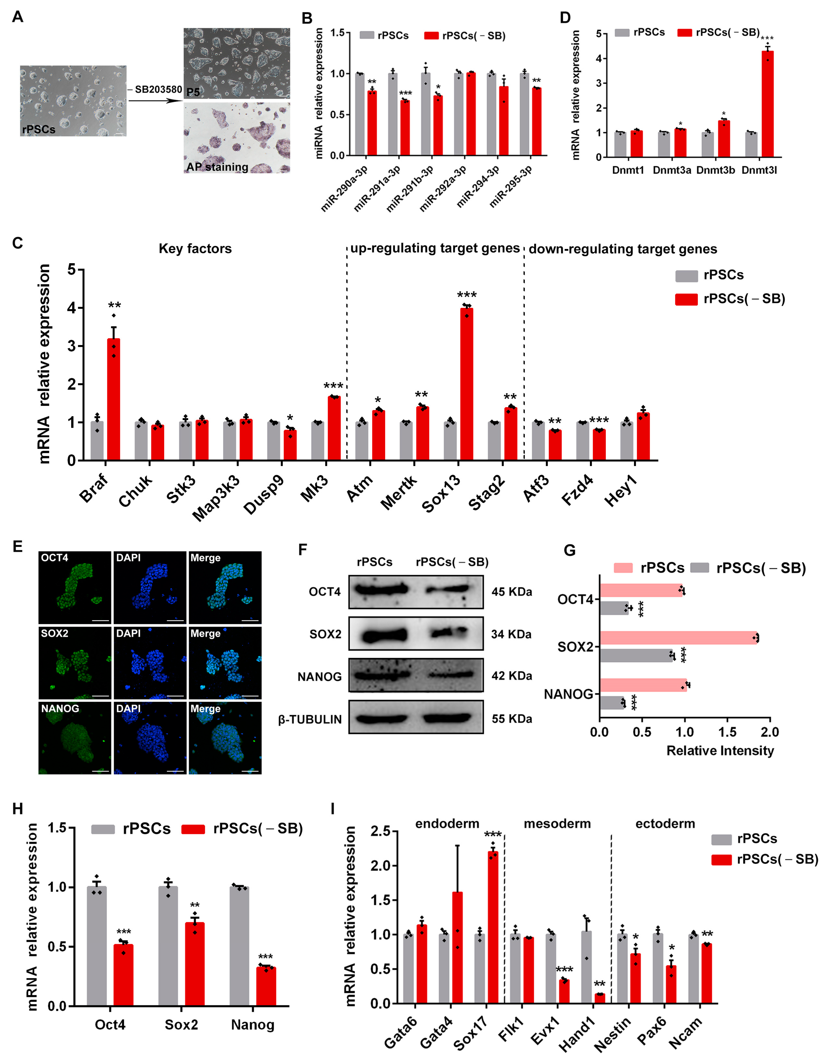 Ijms 25 02681 g005 Ijms 25 02681 g005