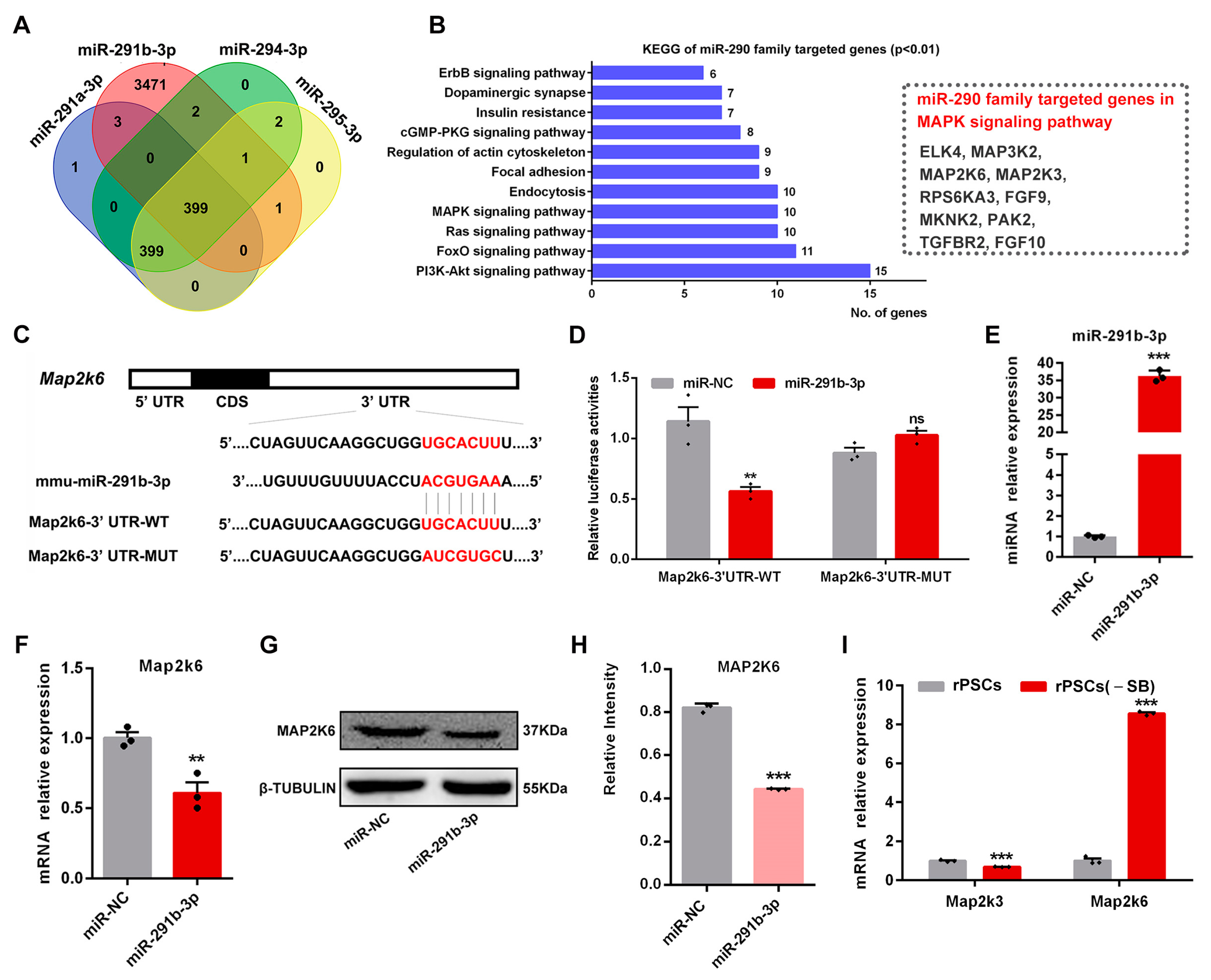 Ijms 25 02681 g006 Ijms 25 02681 g006
