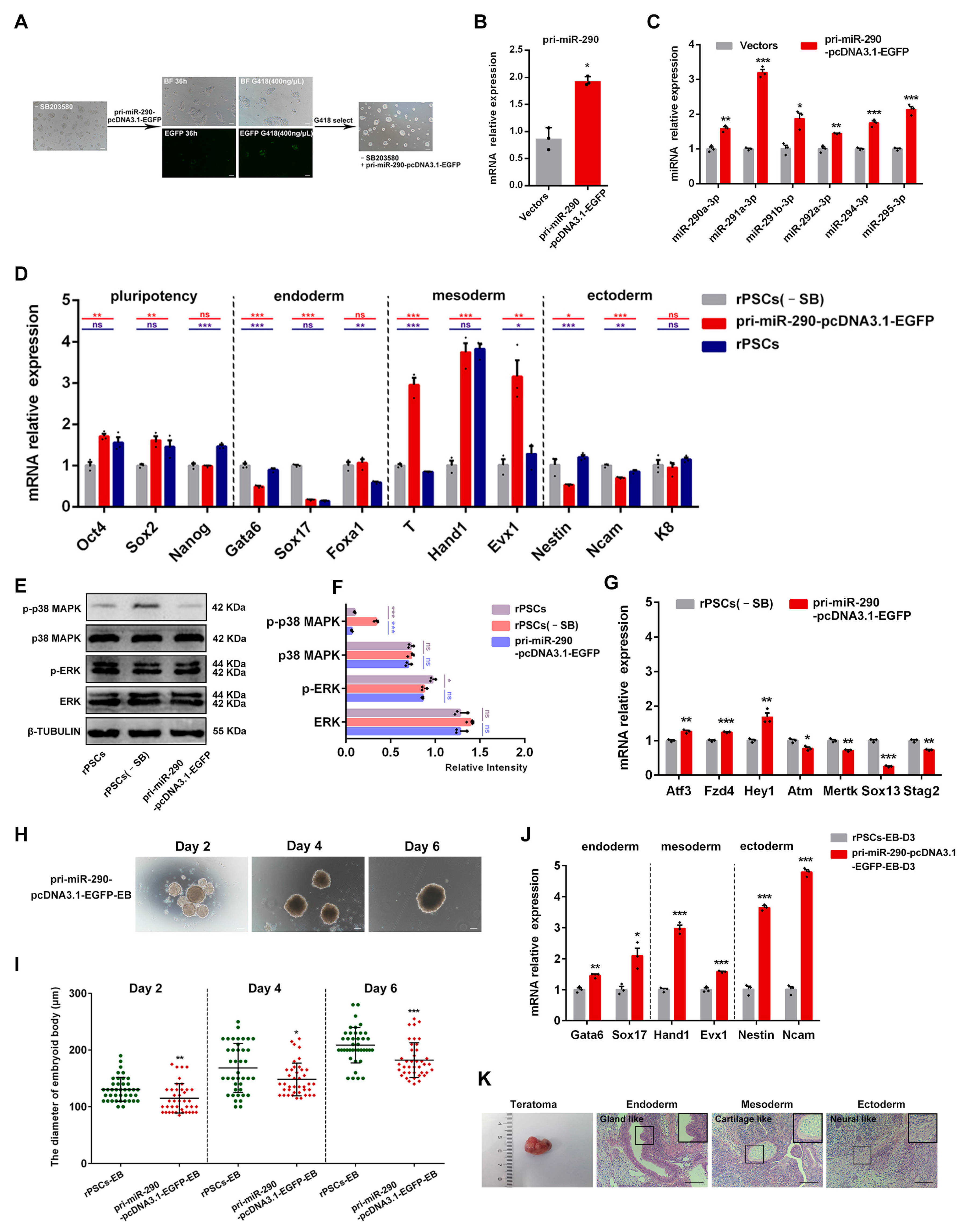 Ijms 25 02681 g007 Ijms 25 02681 g007