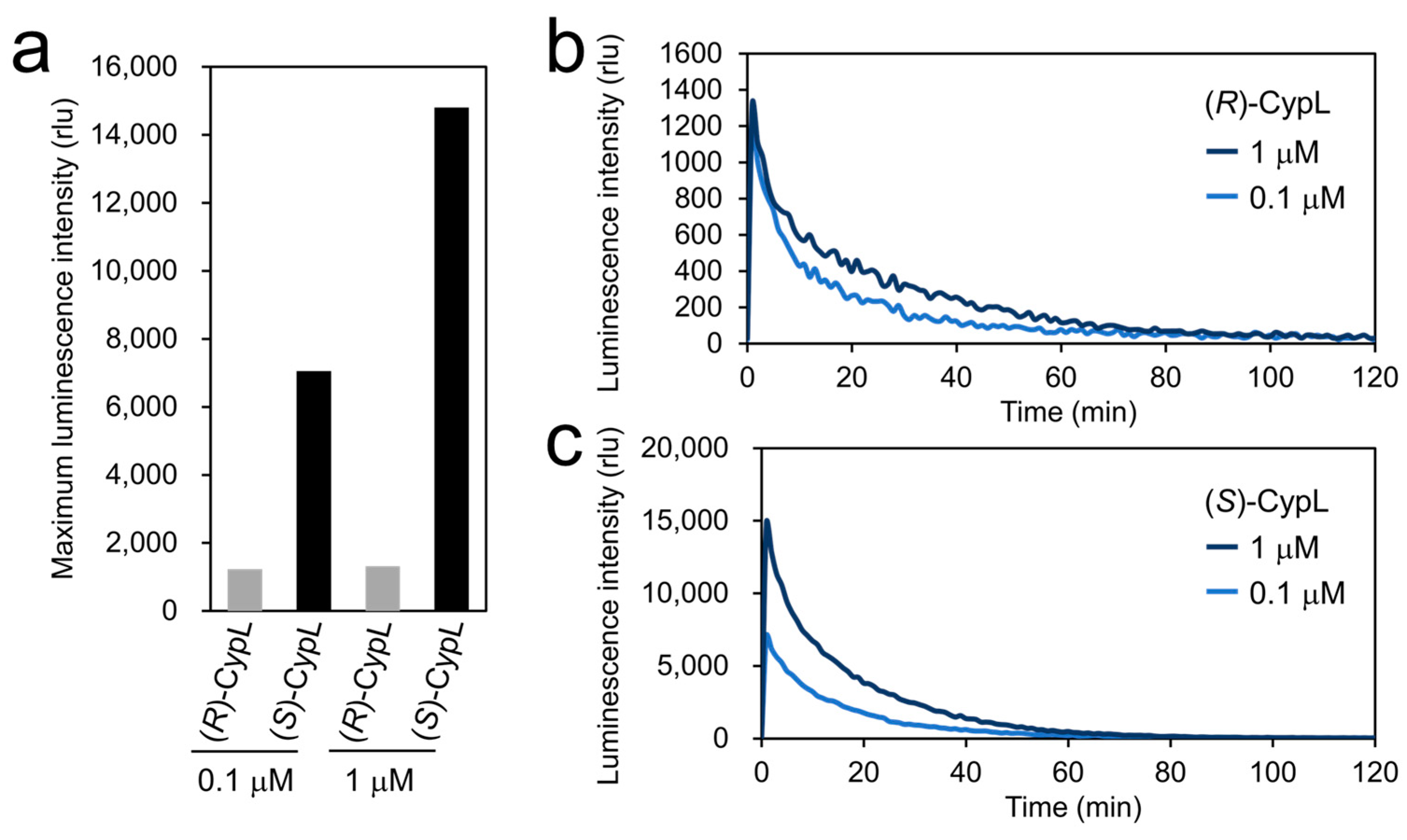 Ijms 25 02699 g004 Ijms 25 02699 g004