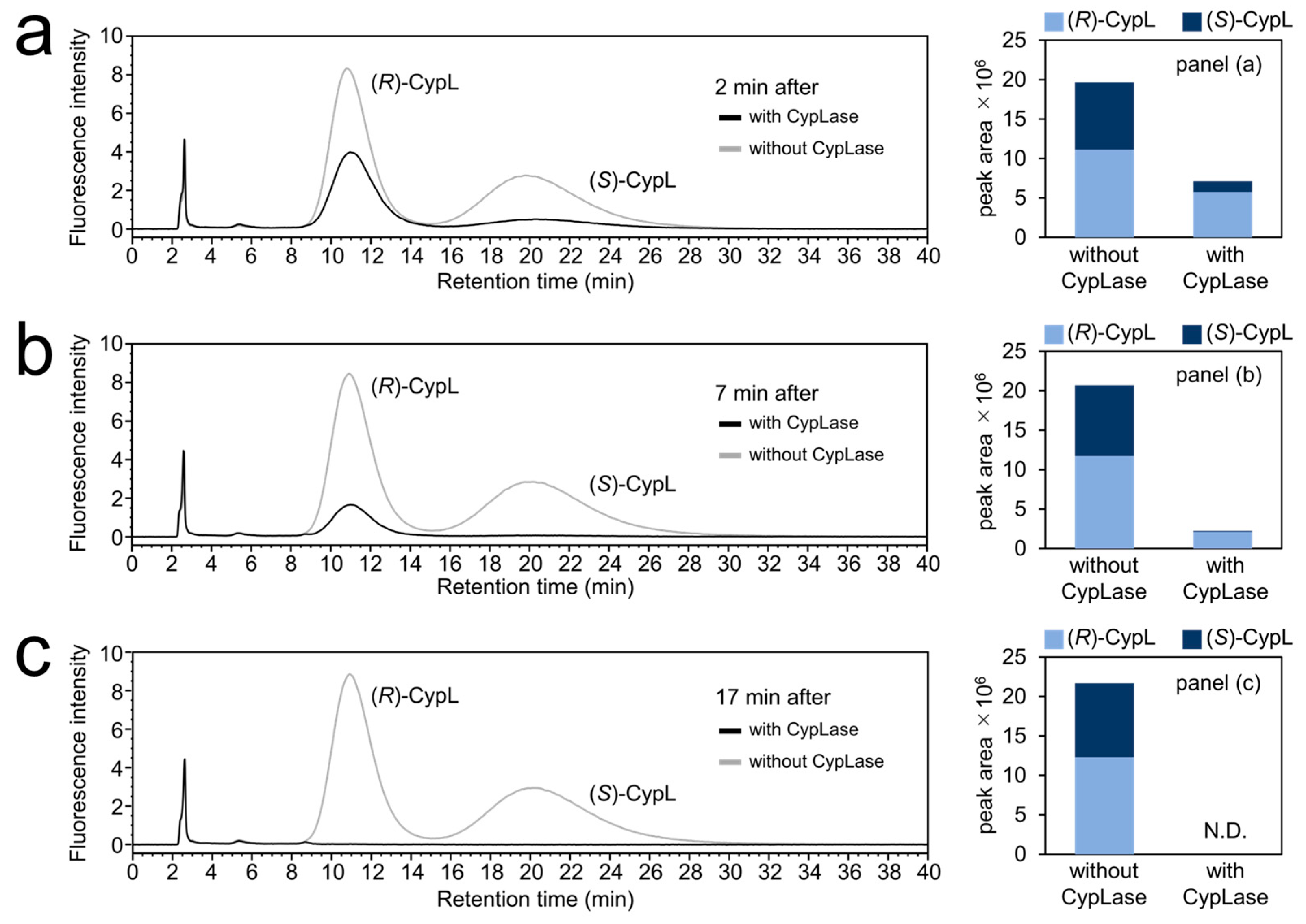 Ijms 25 02699 g005 Ijms 25 02699 g005