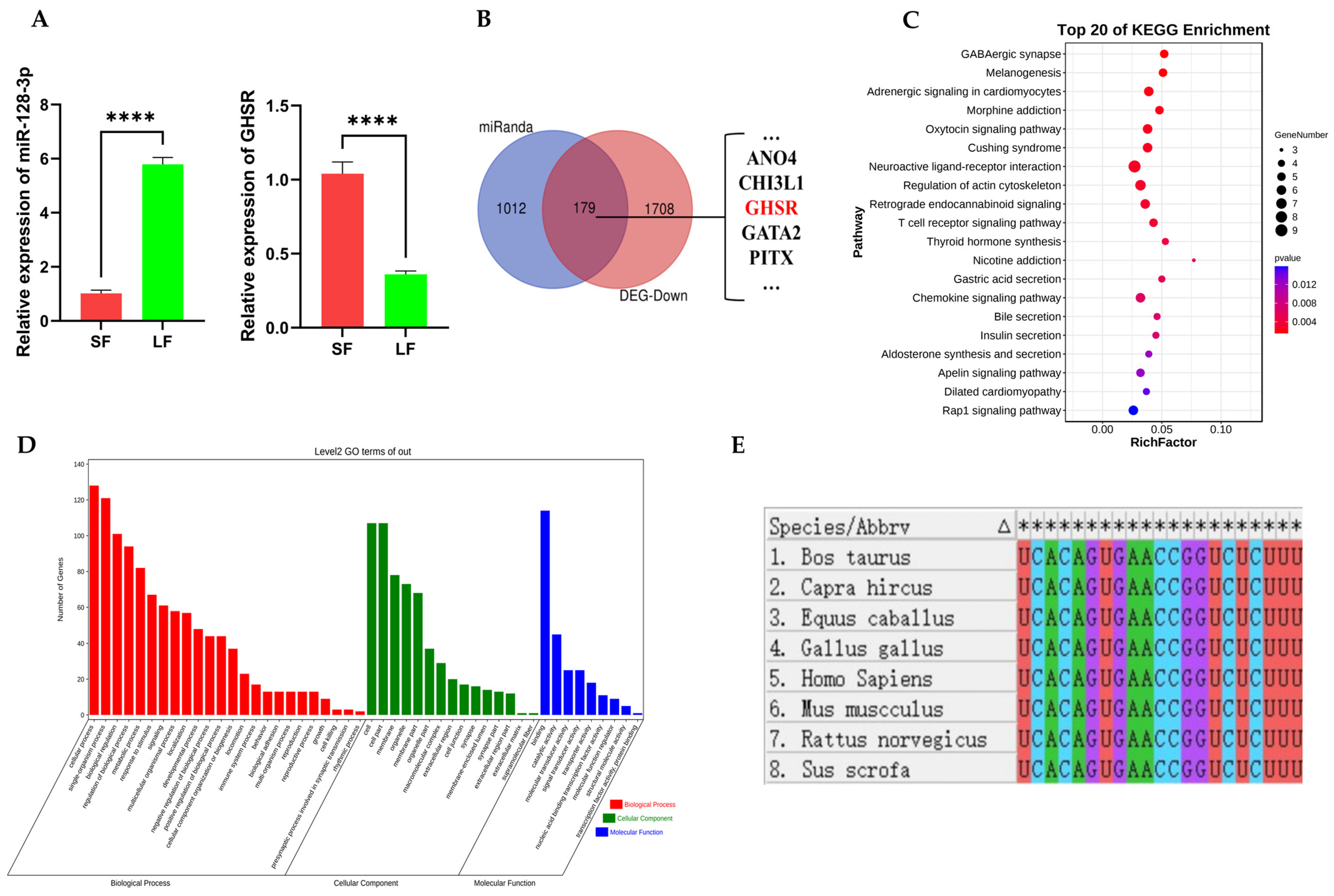Ijms 25 02720 g001 Ijms 25 02720 g001