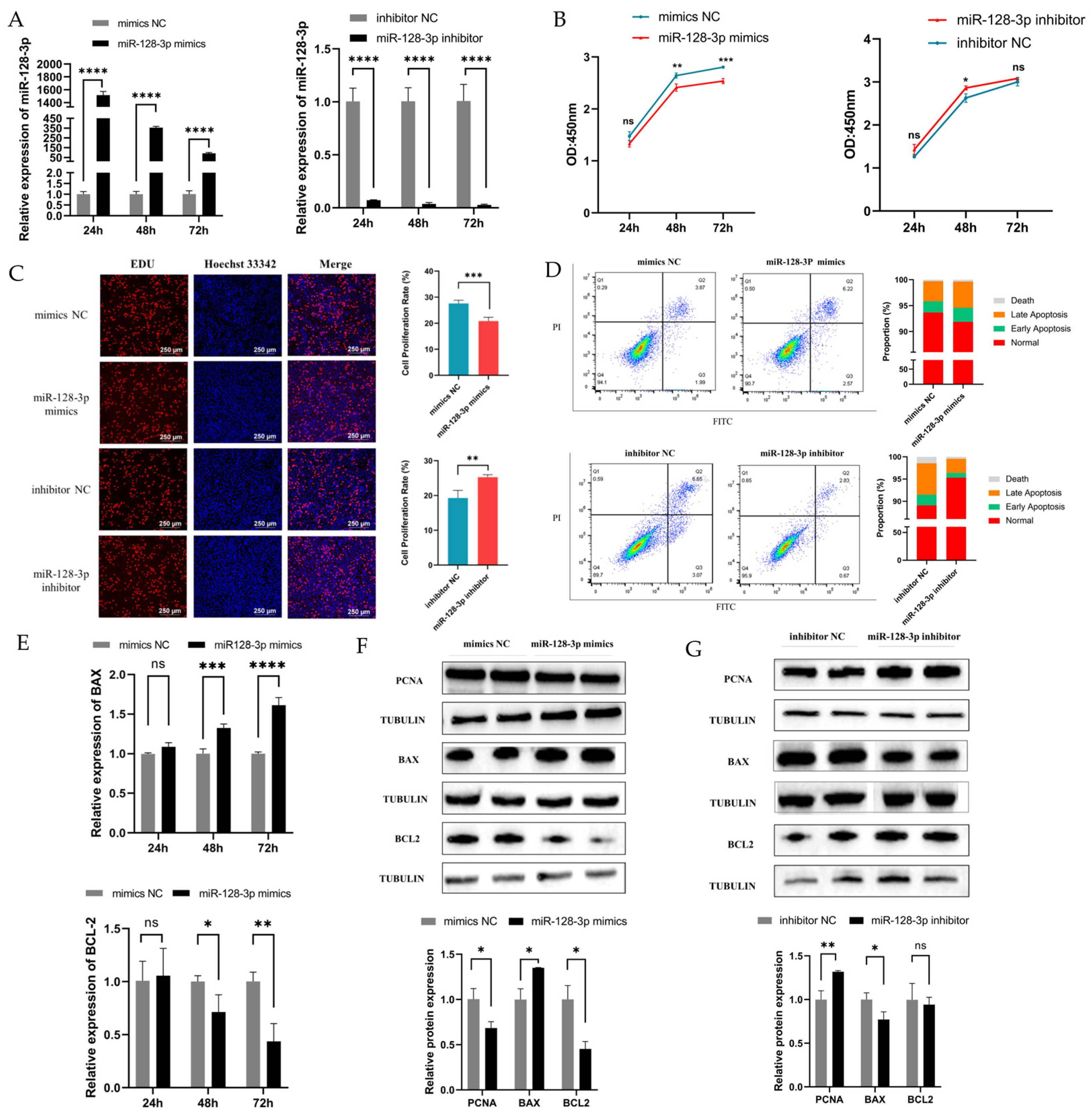 Ijms 25 02720 g002 Ijms 25 02720 g002