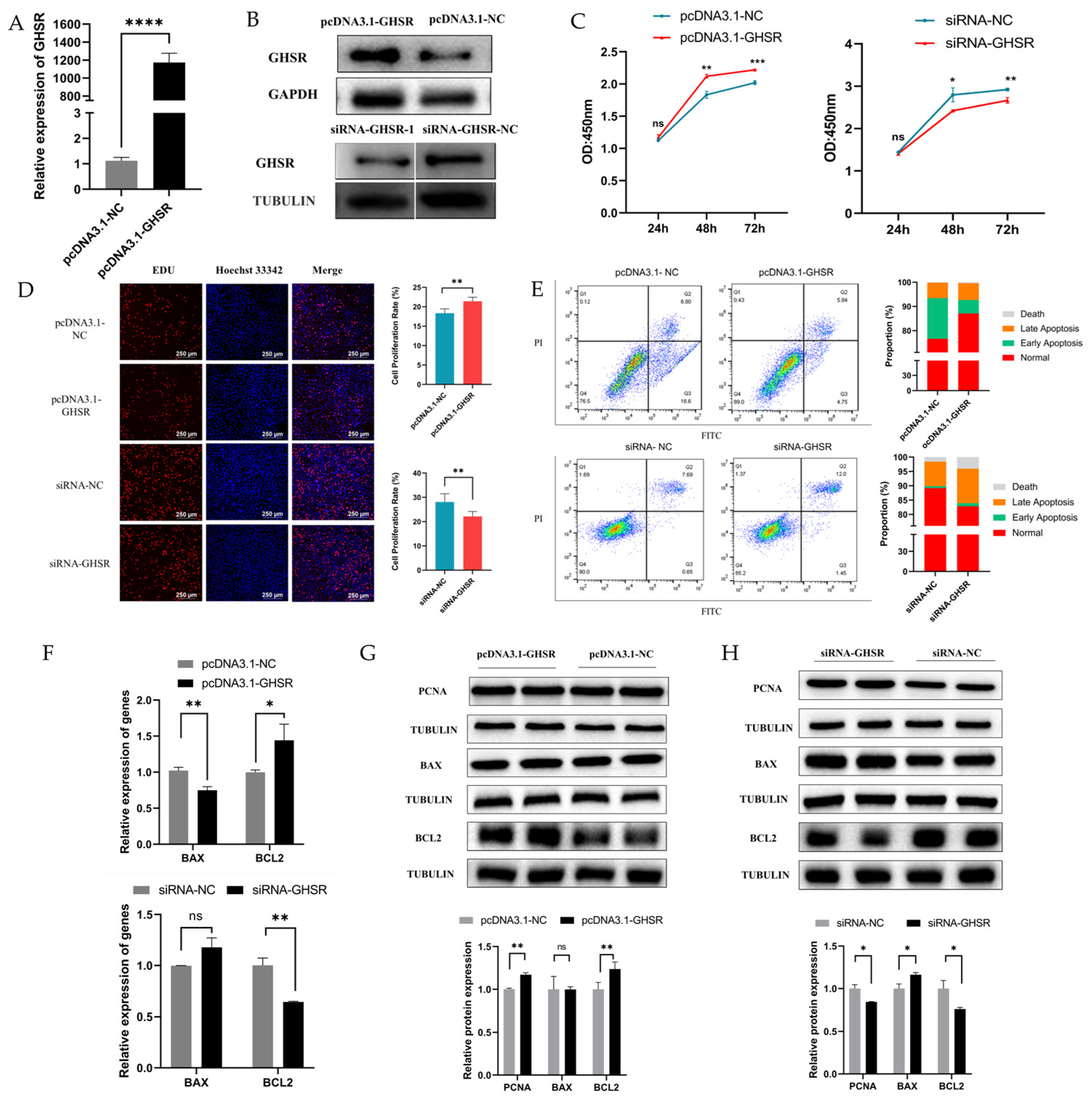 Ijms 25 02720 g004 Ijms 25 02720 g004