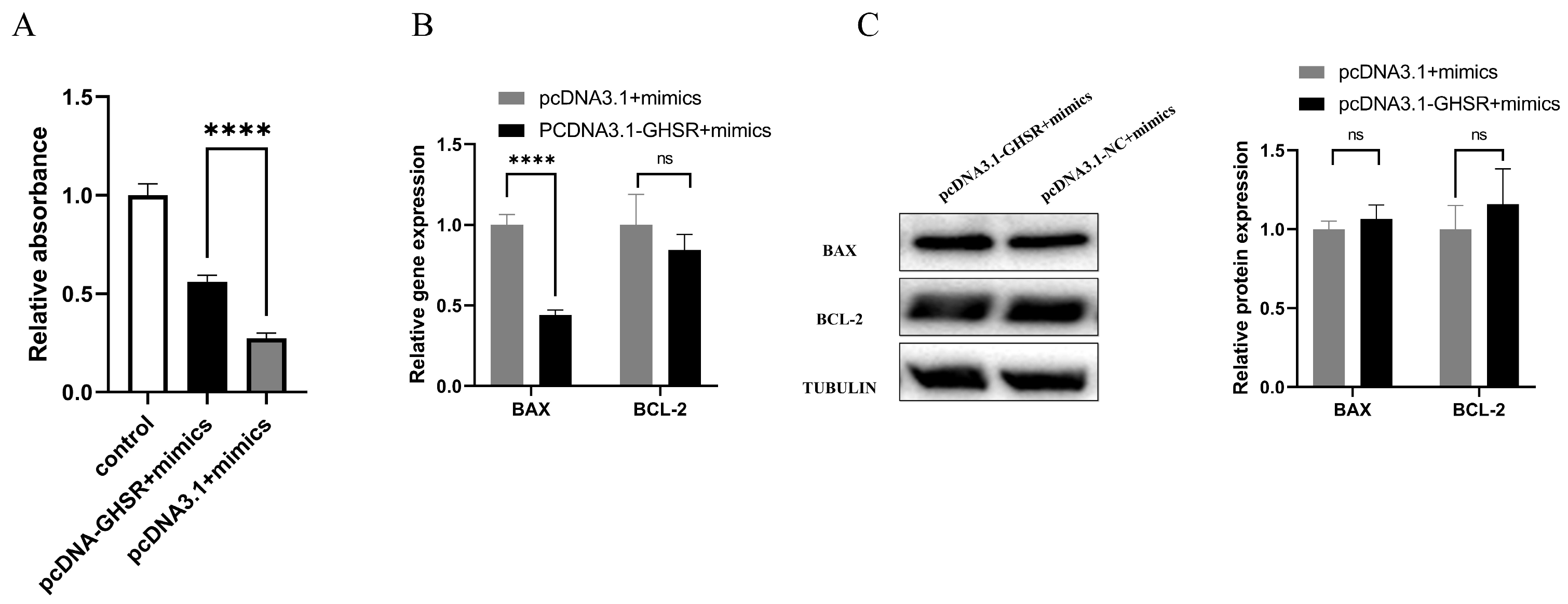 Ijms 25 02720 g005 Ijms 25 02720 g005