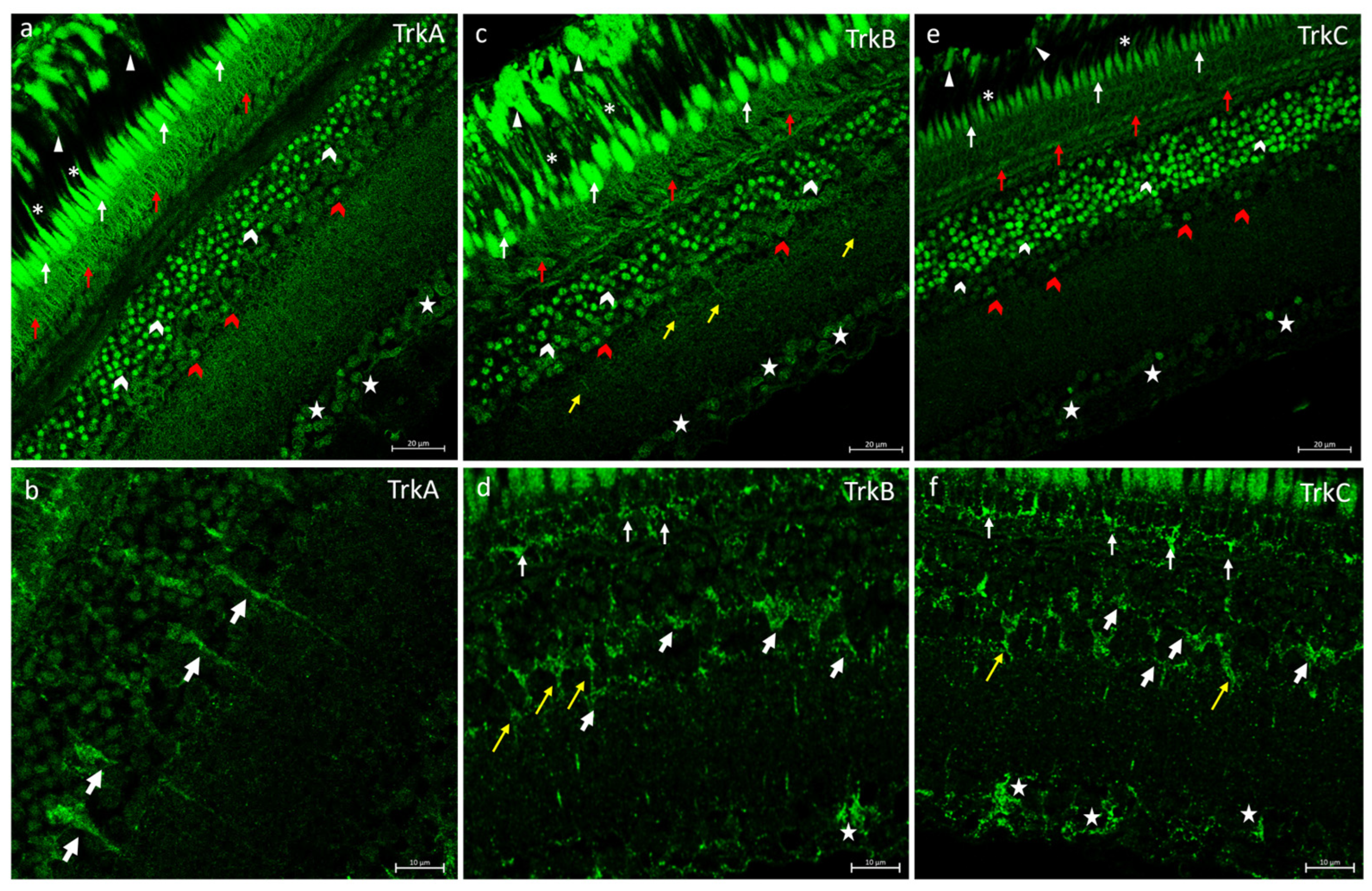 Ijms 25 02732 g002 Ijms 25 02732 g002