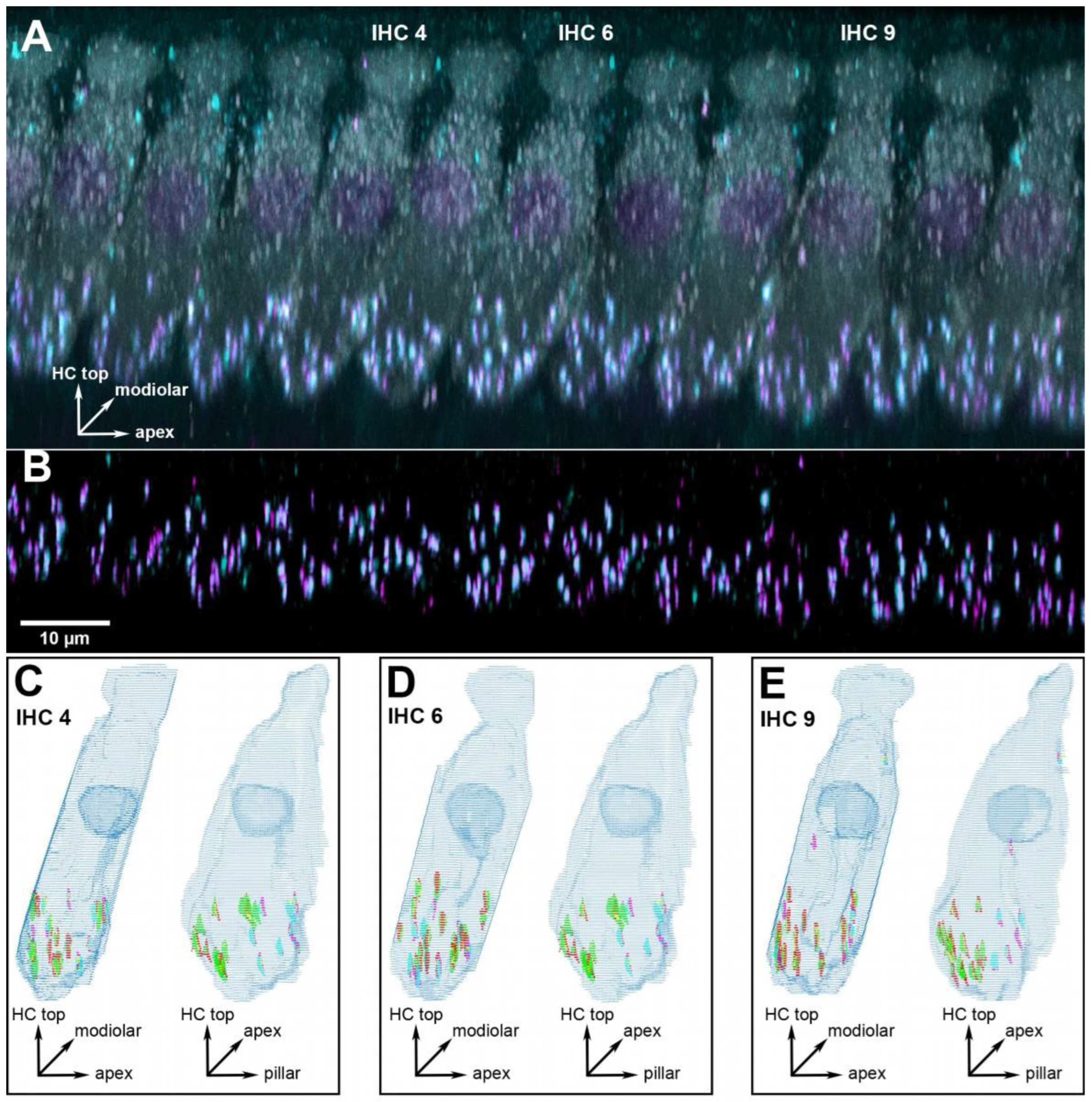 Ijms 25 02738 g001 Ijms 25 02738 g001