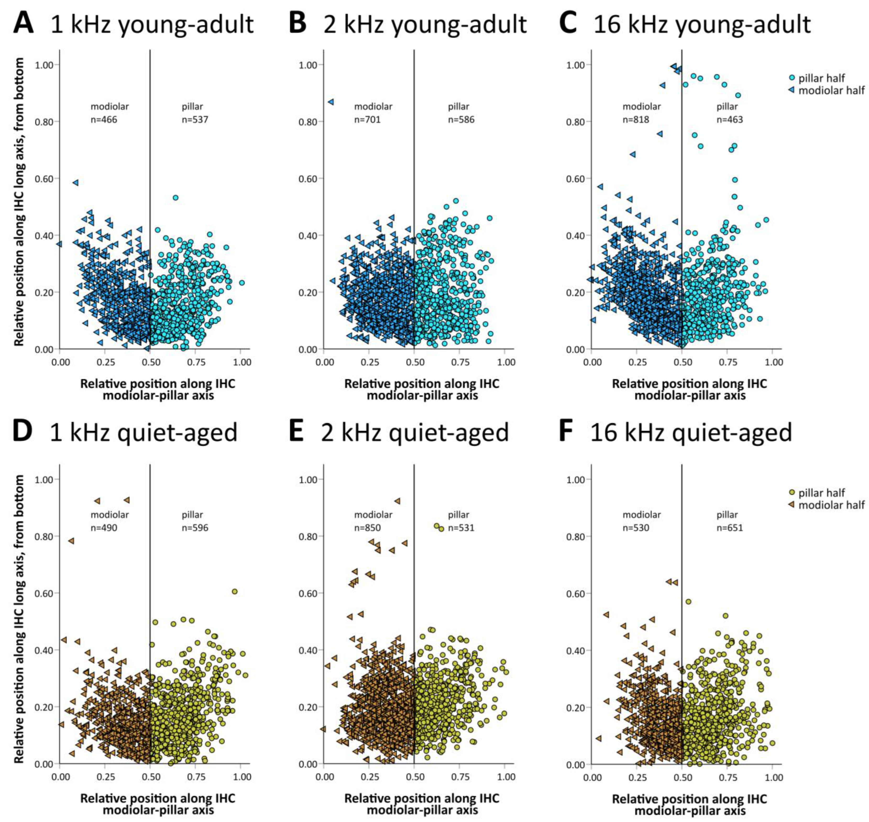 Ijms 25 02738 g004 Ijms 25 02738 g004