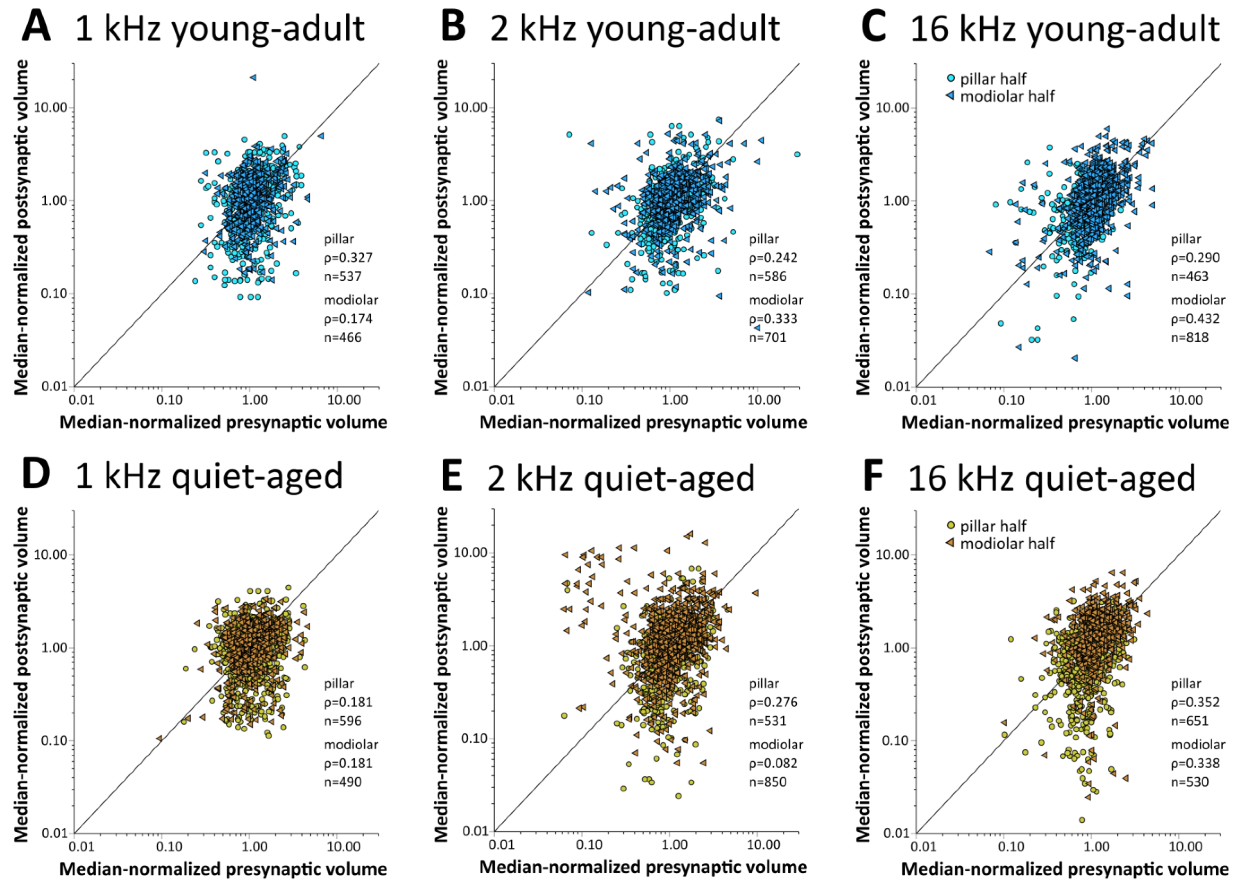 Ijms 25 02738 g006 Ijms 25 02738 g006