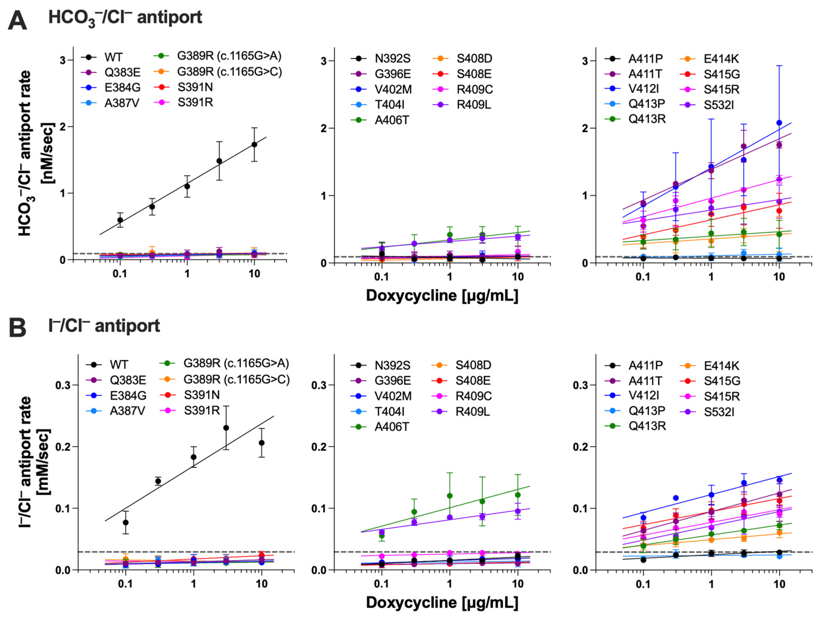 Ijms 25 02759 g002 Ijms 25 02759 g002