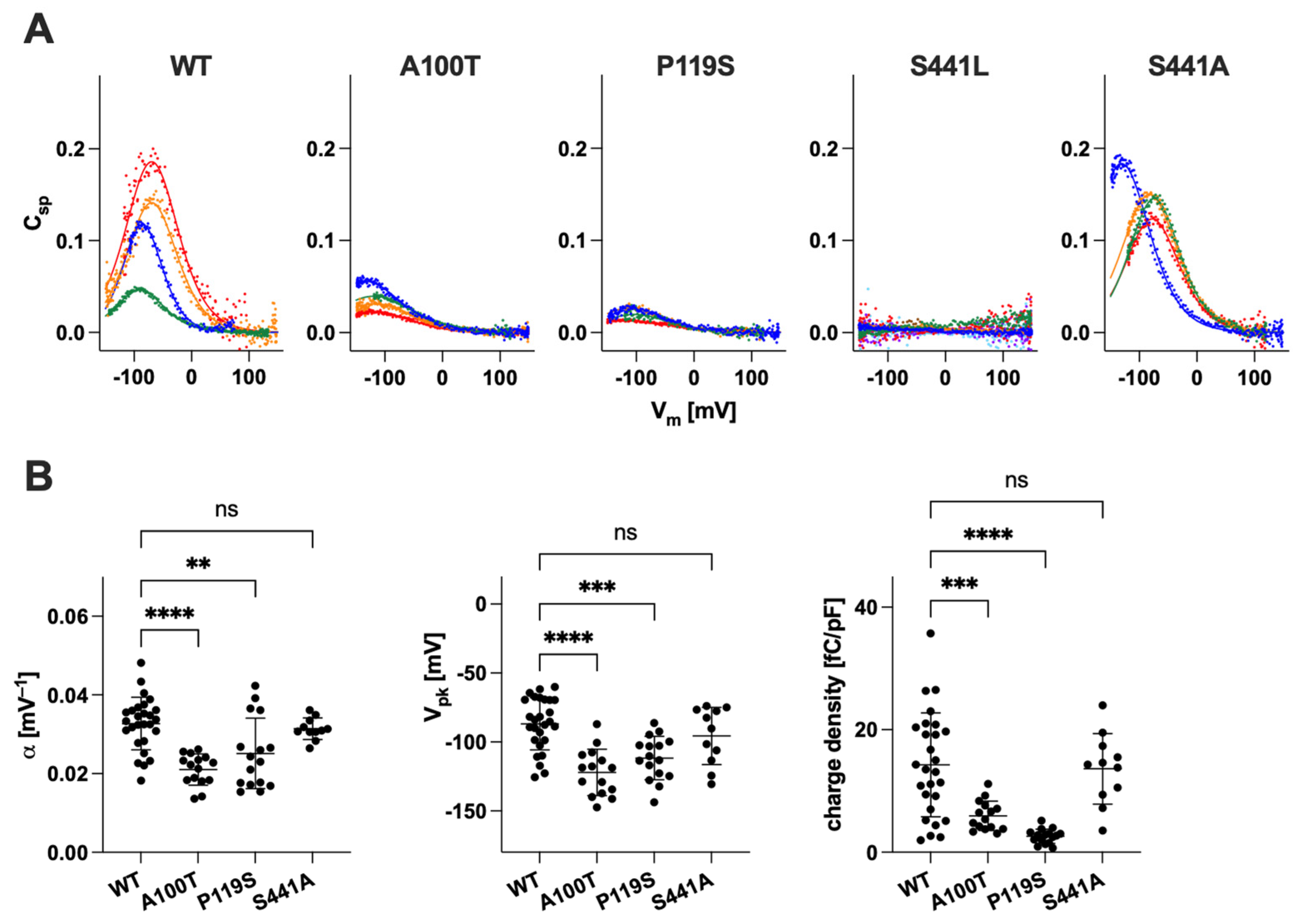 Ijms 25 02759 g004 Ijms 25 02759 g004