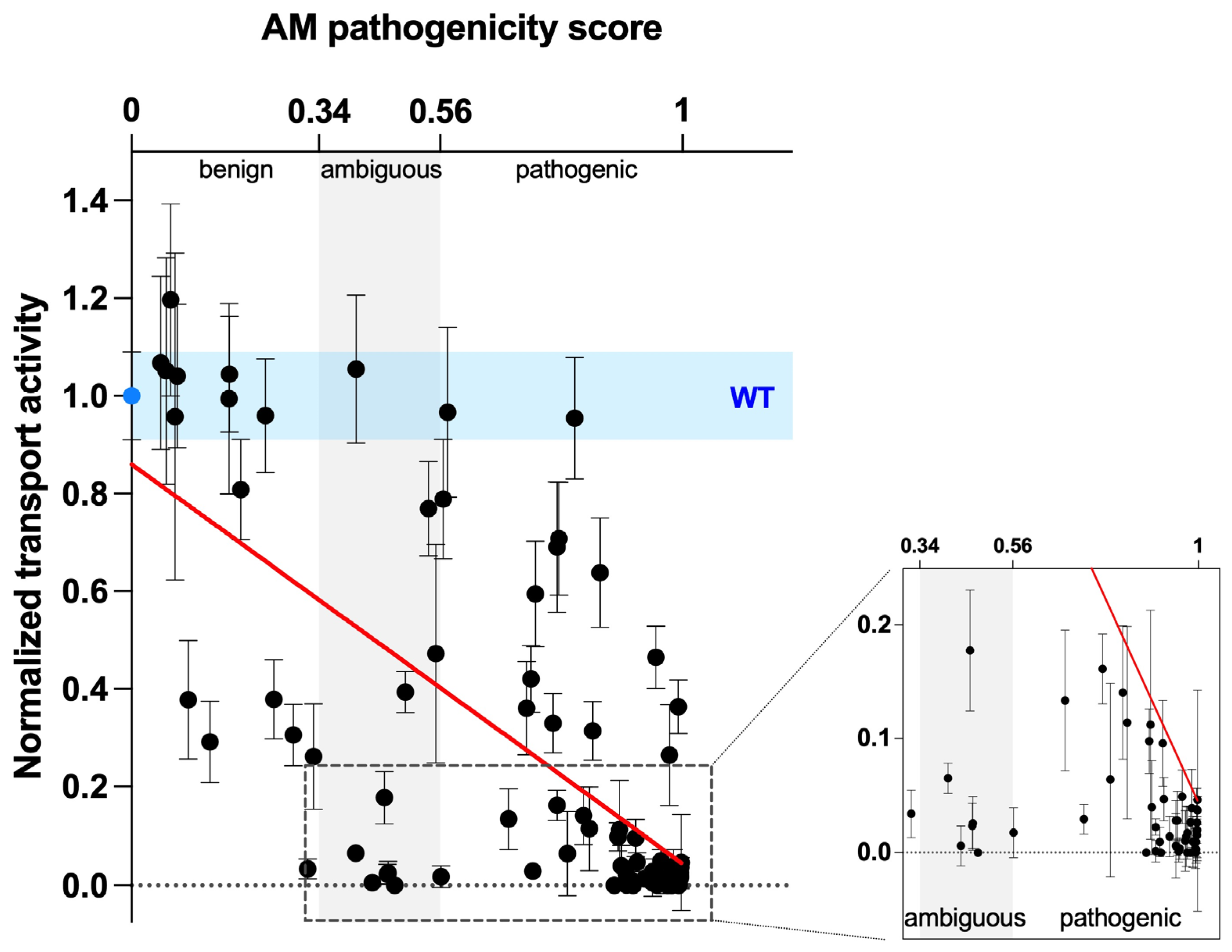 Ijms 25 02759 g006 Ijms 25 02759 g006