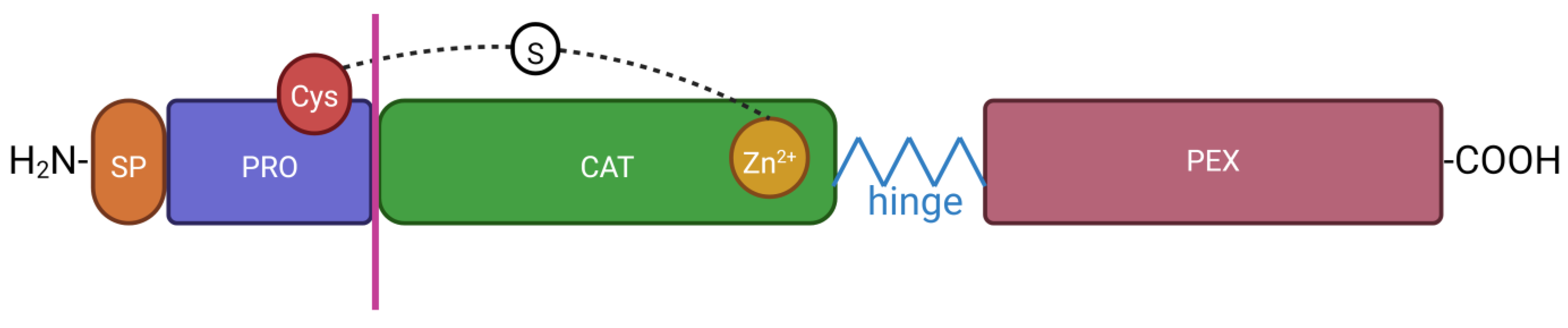 Ijms 25 02763 g002 Ijms 25 02763 g002