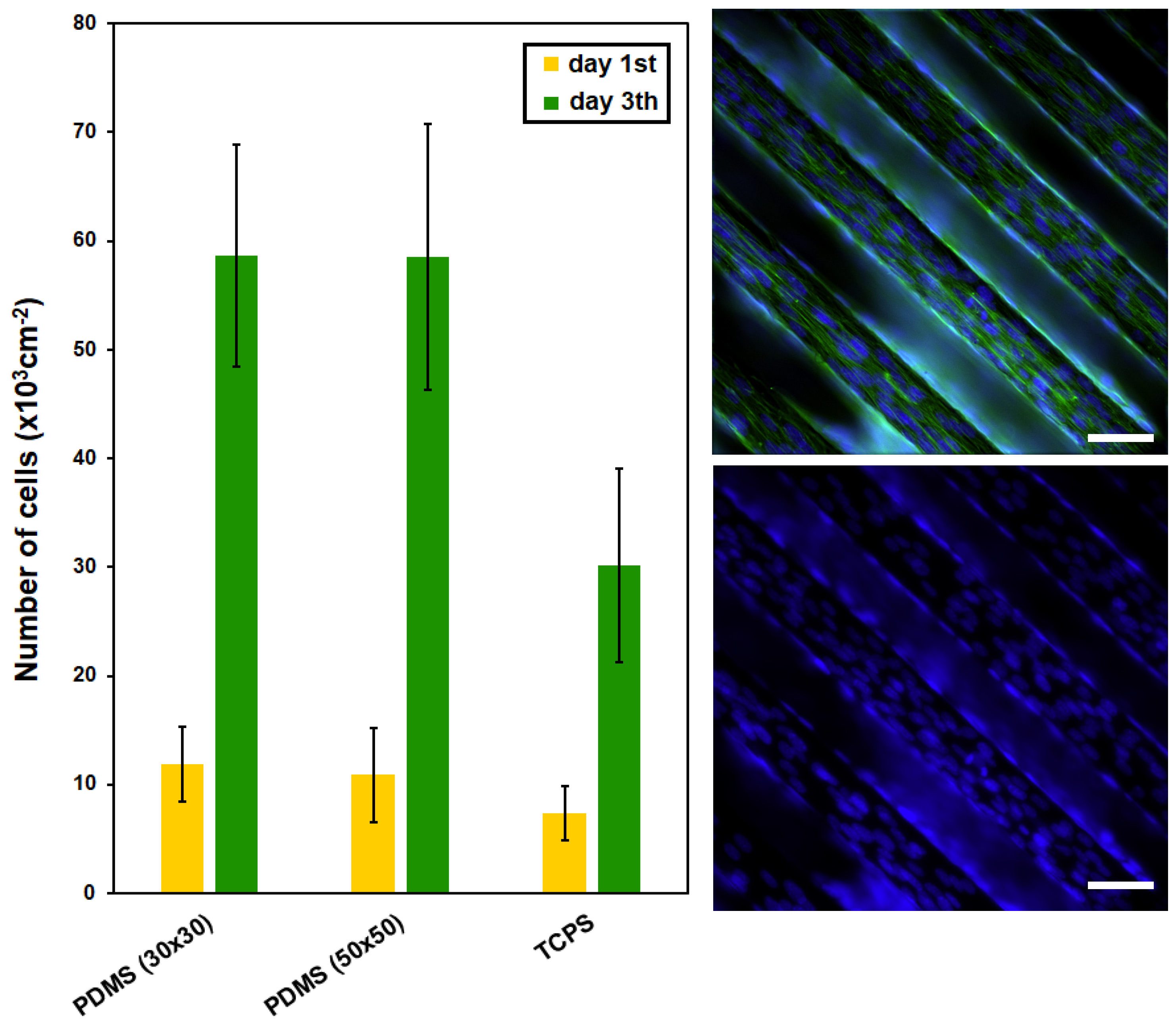 Ijms 25 02779 g006 Ijms 25 02779 g006