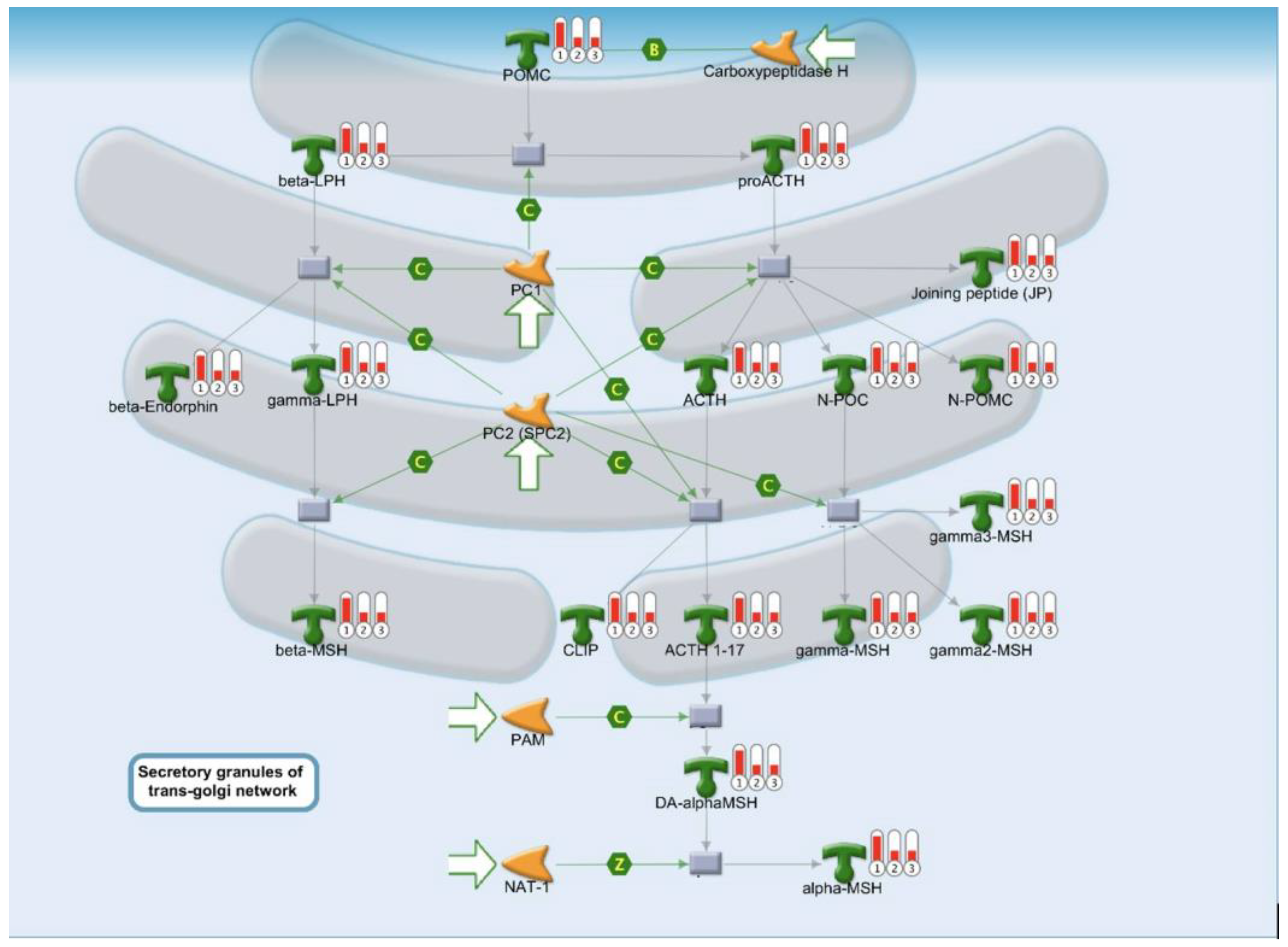 Ijms 25 02783 g002 Ijms 25 02783 g002