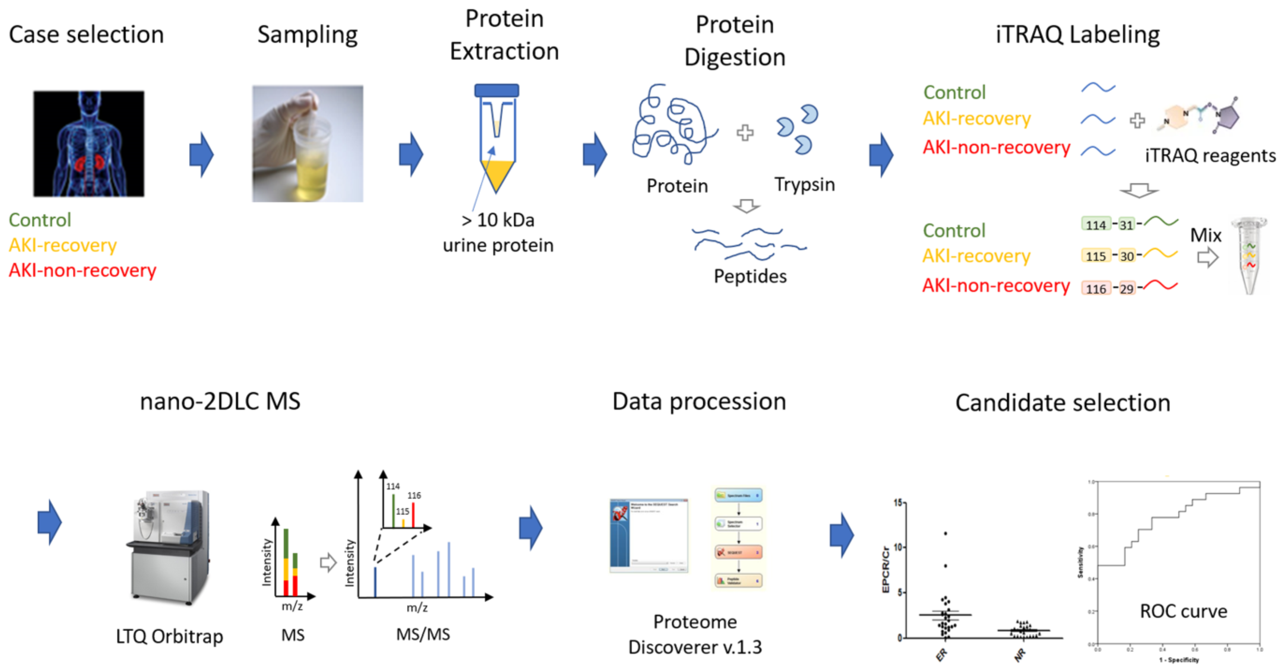 Ijms 25 02783 g006 Ijms 25 02783 g006