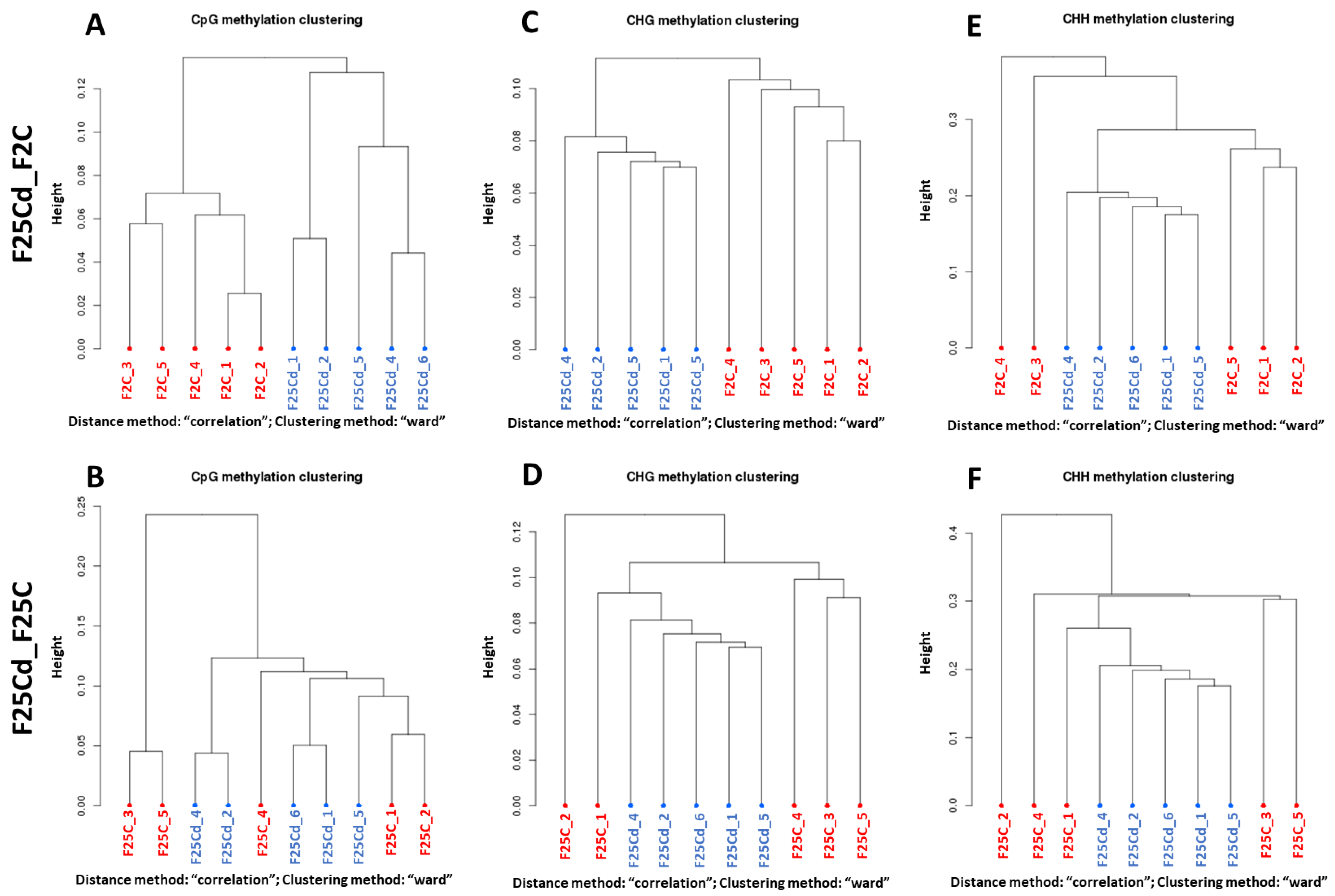 Ijms 25 02795 g009 Ijms 25 02795 g009