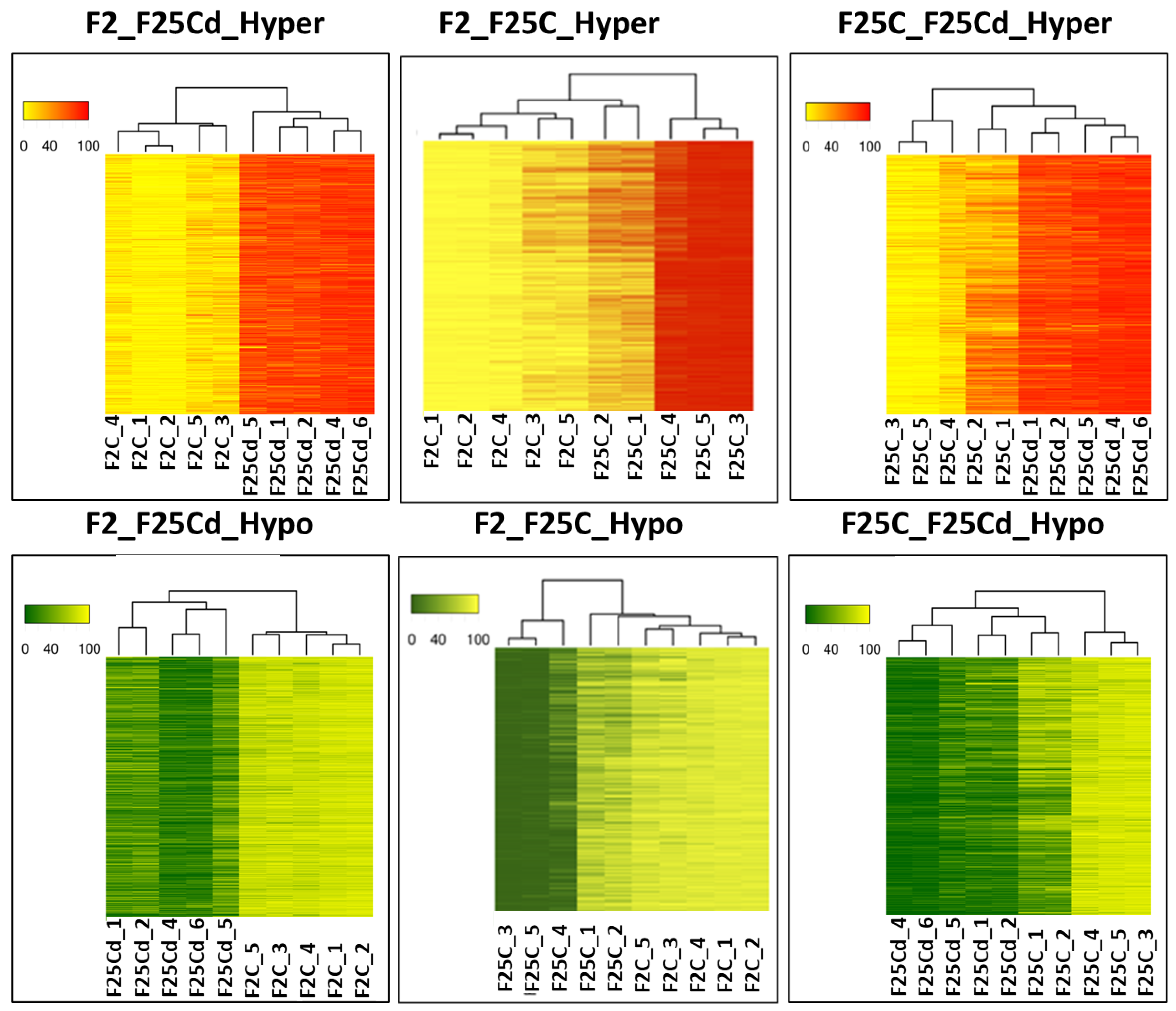 Ijms 25 02795 g010 Ijms 25 02795 g010