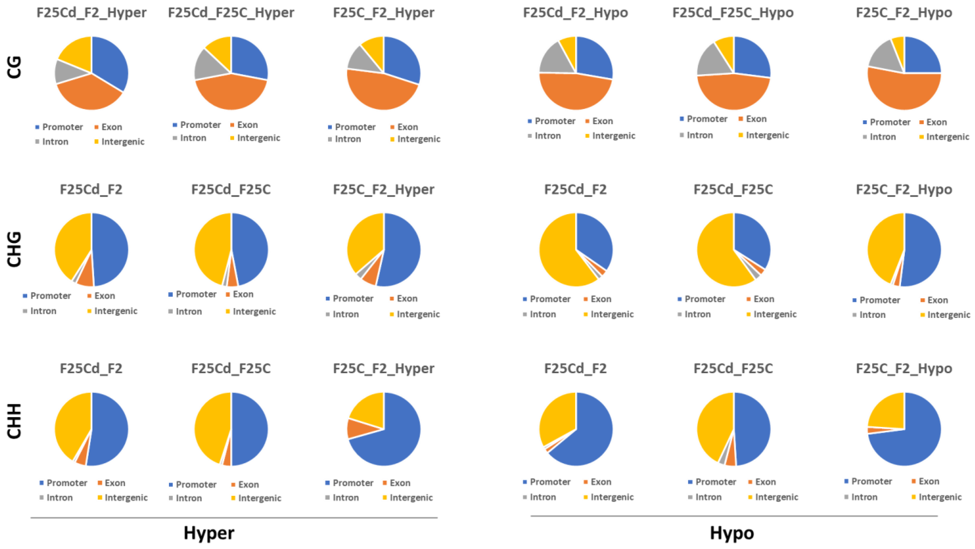 Ijms 25 02795 g011 Ijms 25 02795 g011