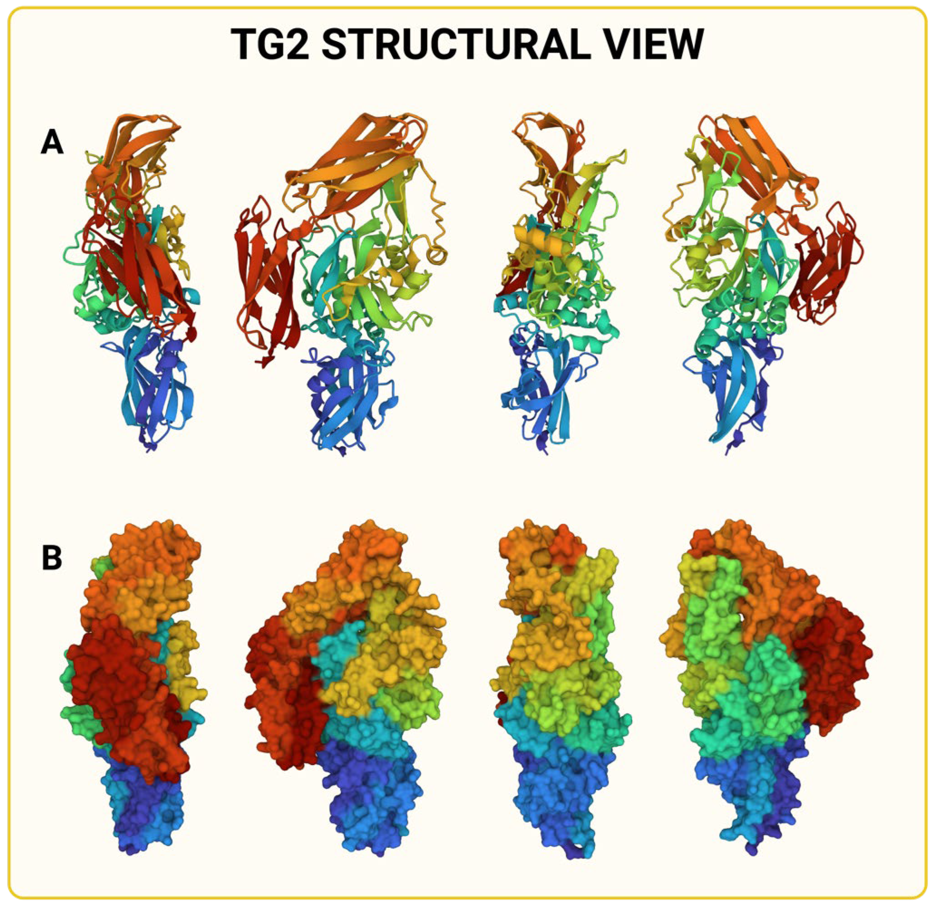 Ijms 25 02797 g001 Ijms 25 02797 g001