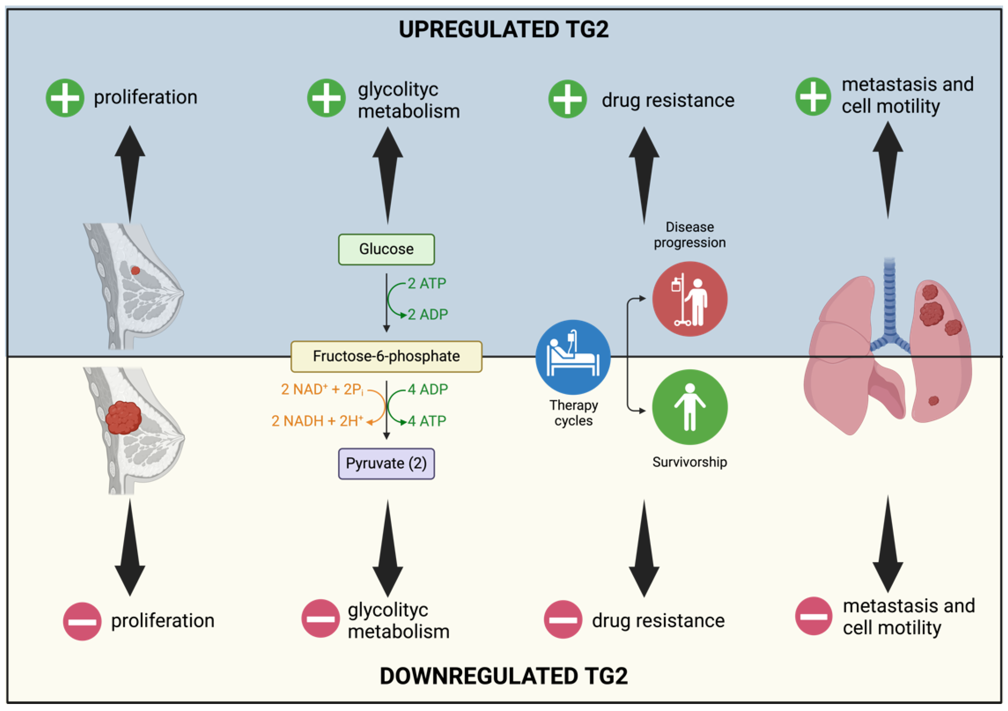 Ijms 25 02797 g006 Ijms 25 02797 g006